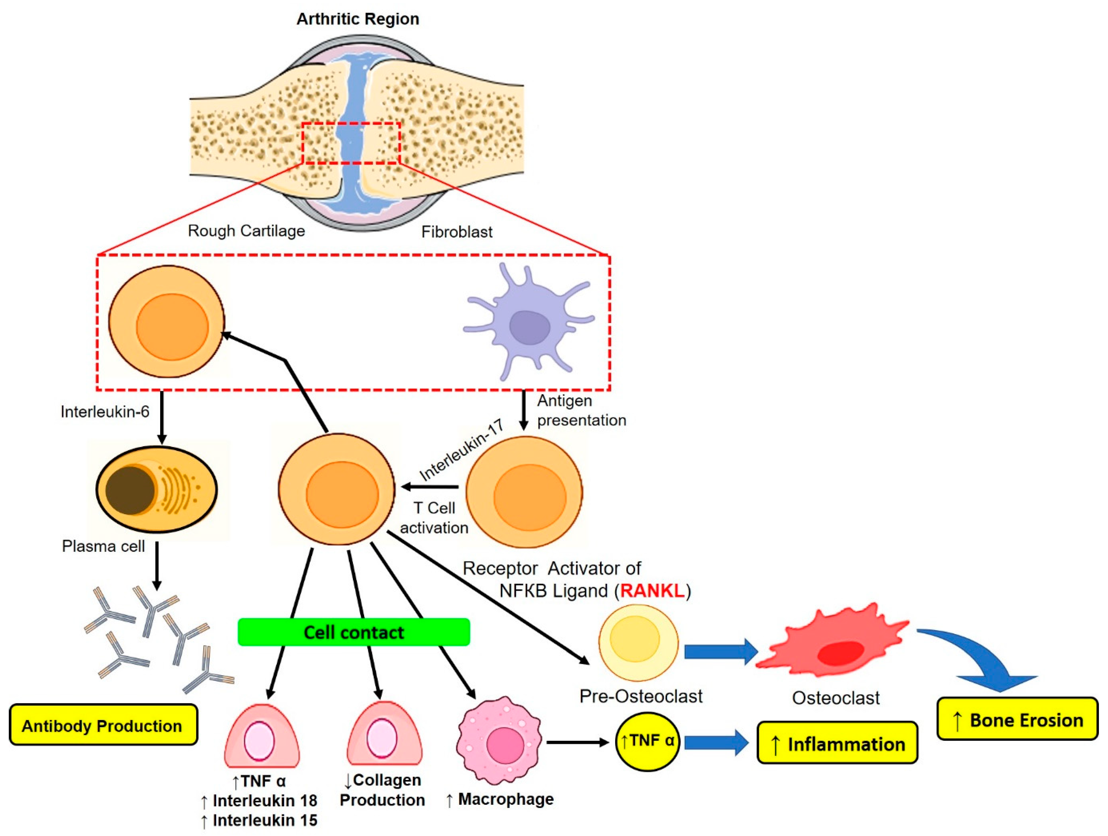 Pharmaceutics 15 00735 g001 Pharmaceutics 15 00735 g001