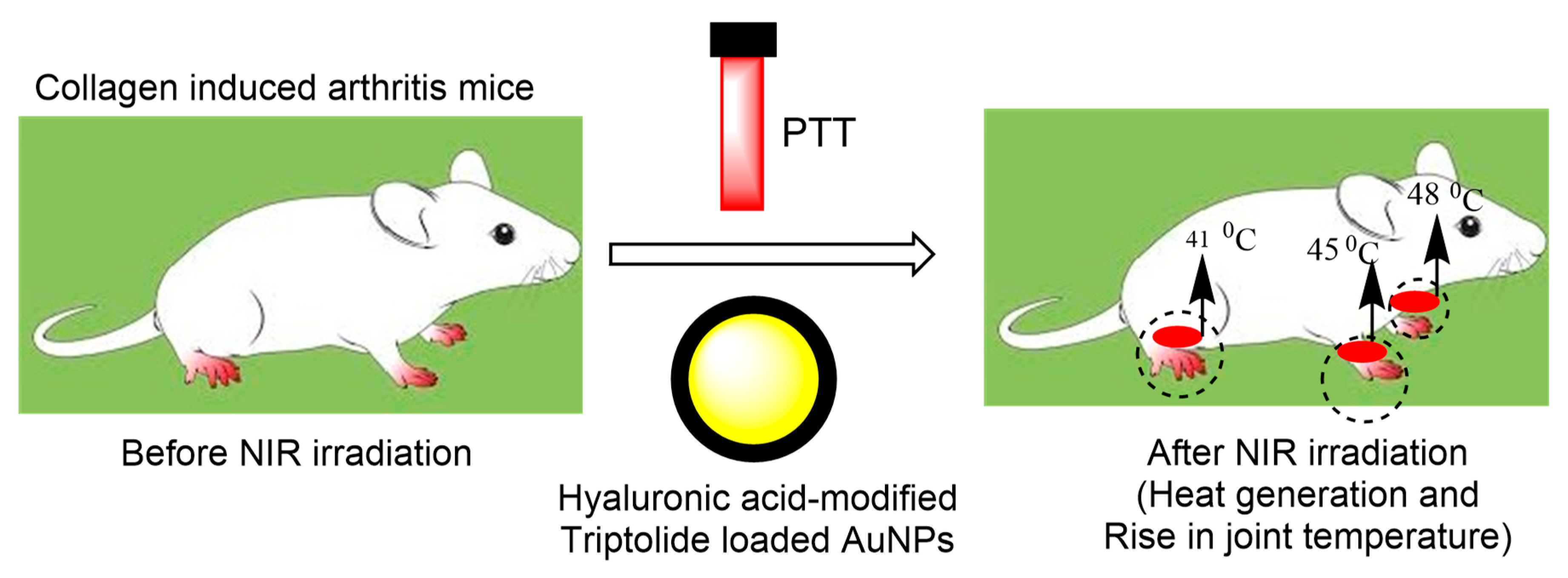 Pharmaceutics 15 00735 g005 Pharmaceutics 15 00735 g005