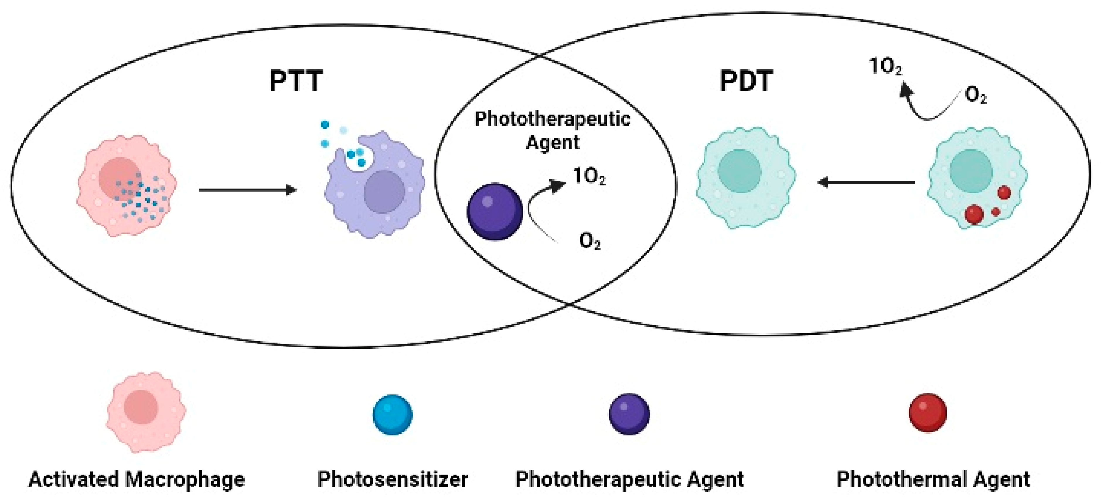 Pharmaceutics 15 00735 g008 Pharmaceutics 15 00735 g008
