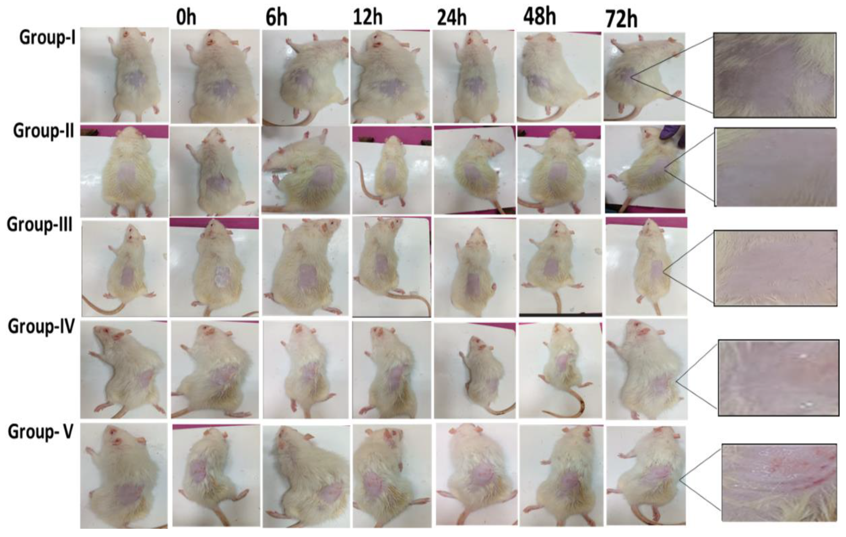 Pharmaceutics 15 00736 g011 Pharmaceutics 15 00736 g011