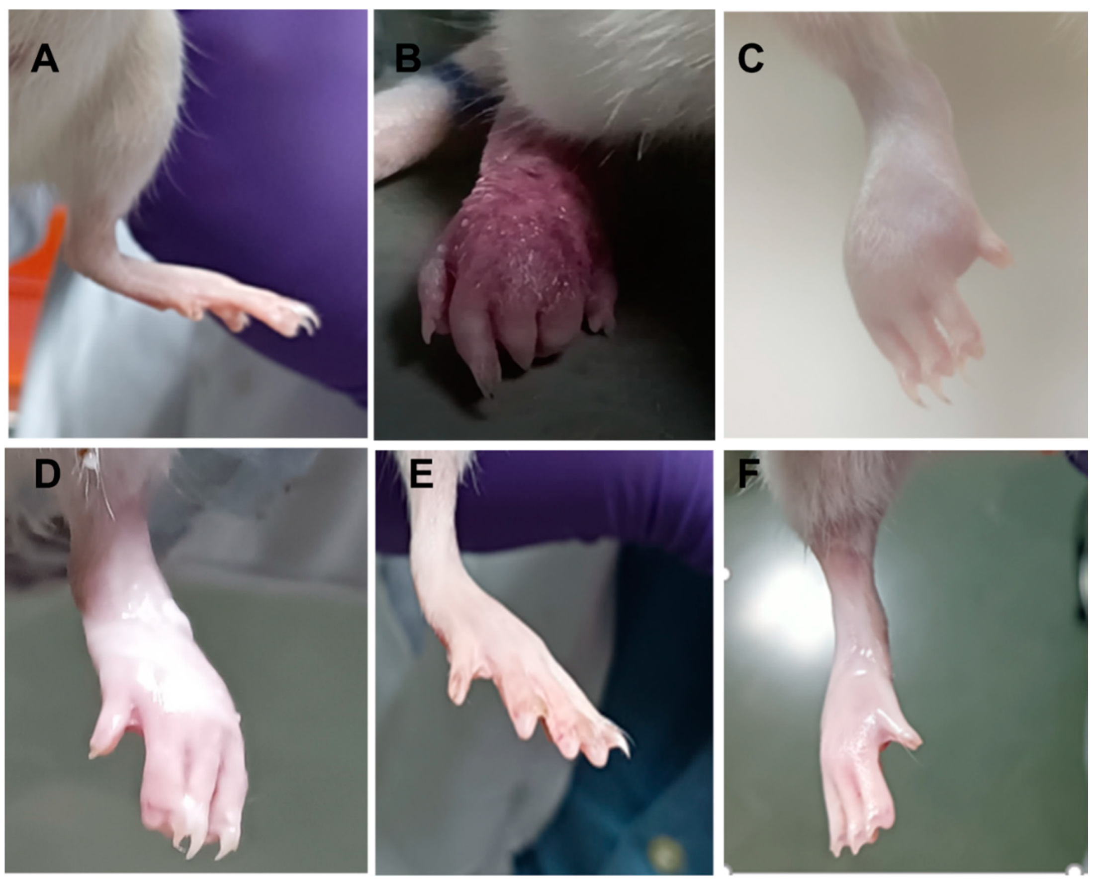 Pharmaceutics 15 00736 g014 Pharmaceutics 15 00736 g014