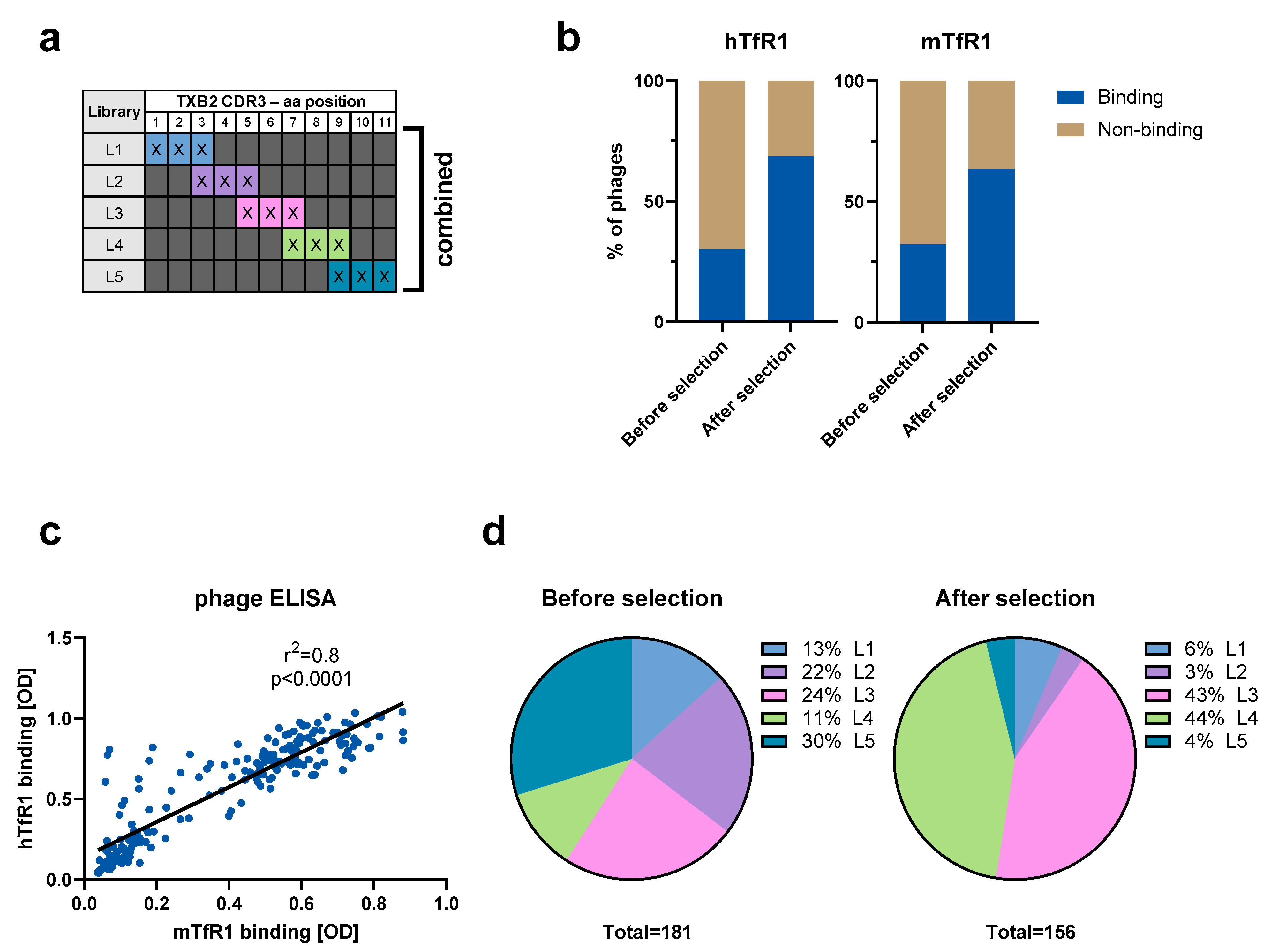 Pharmaceutics 15 00739 g001