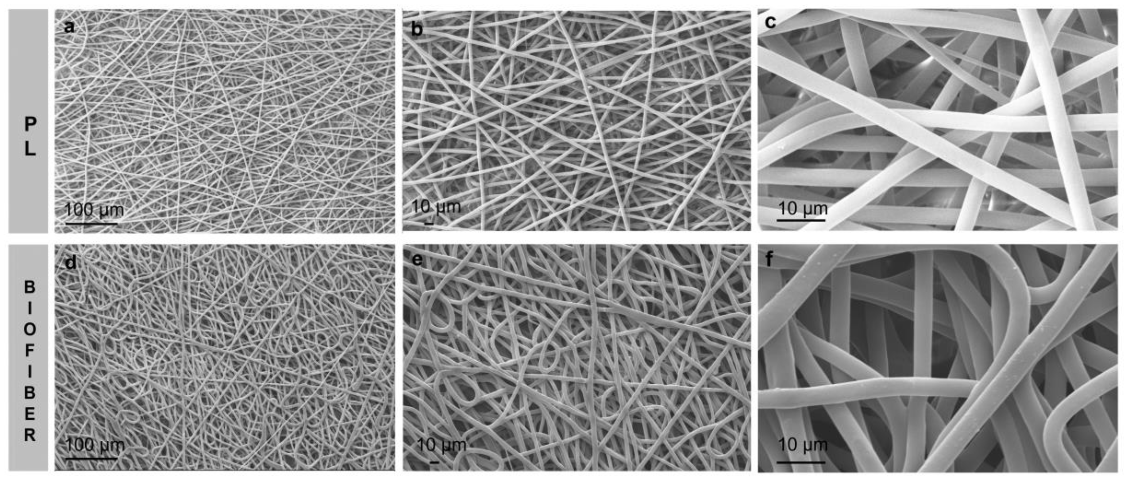 Pharmaceutics 15 00747 g004