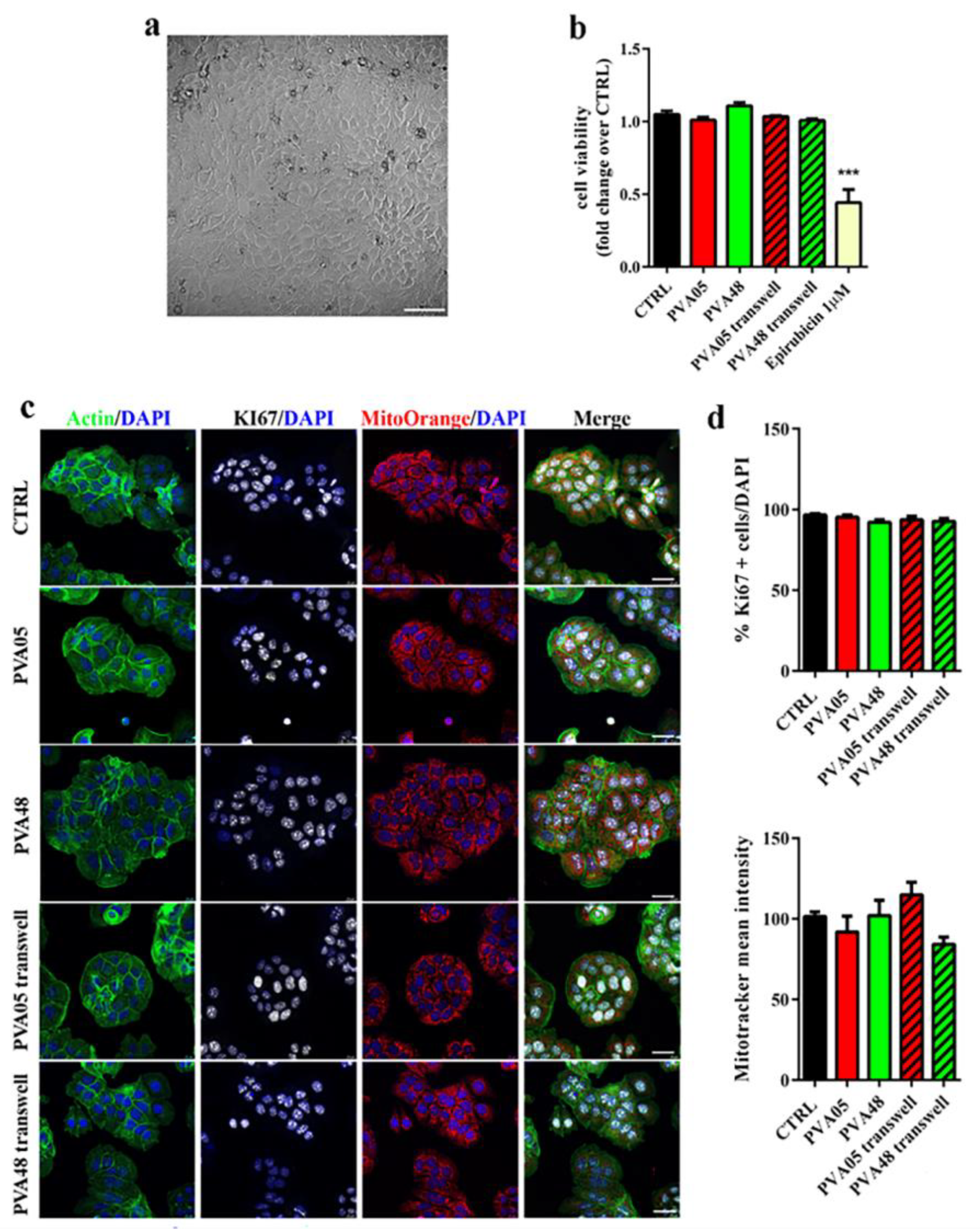Pharmaceutics 15 00757 g003