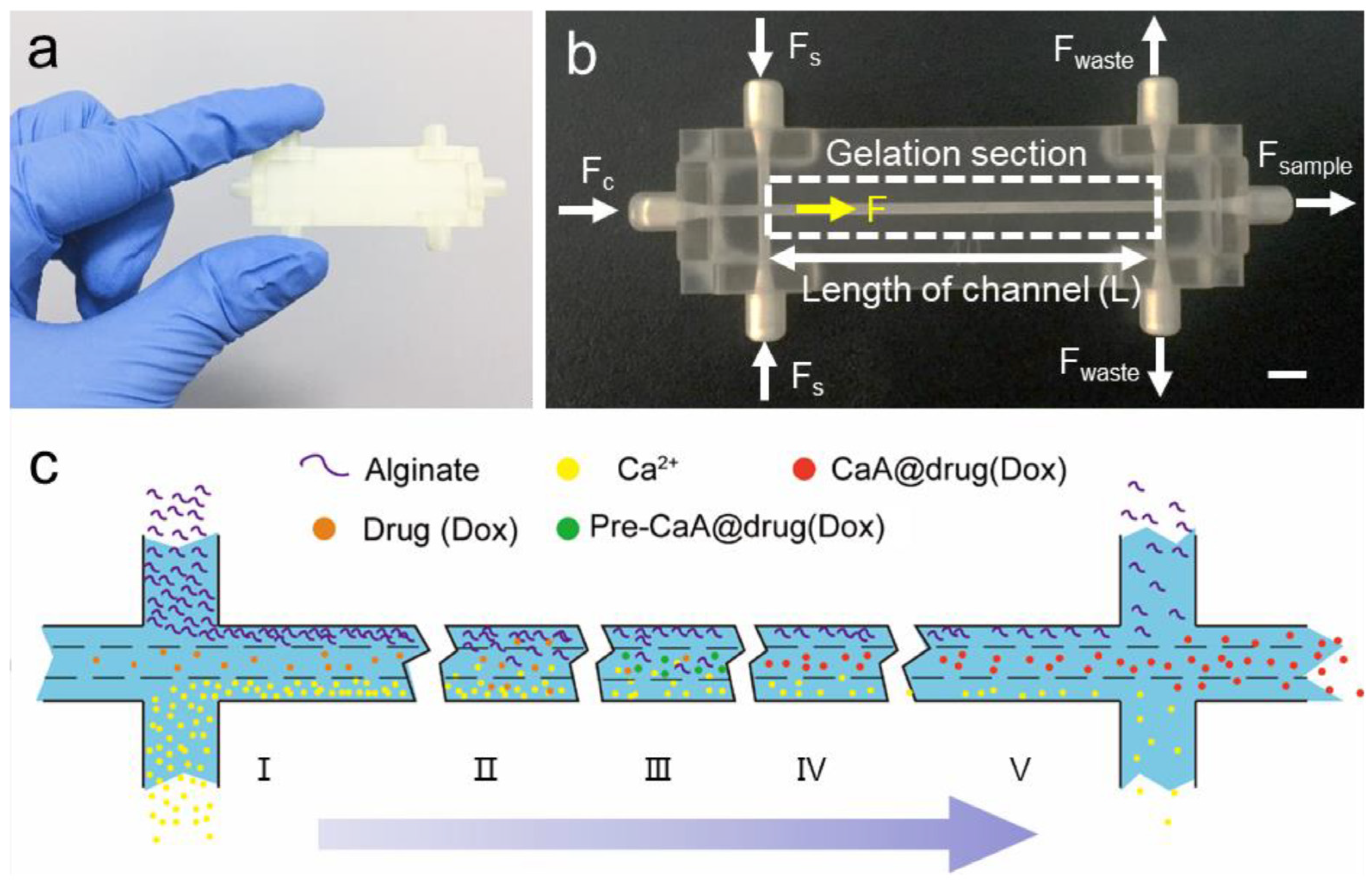 Pharmaceutics 15 00759 g009
