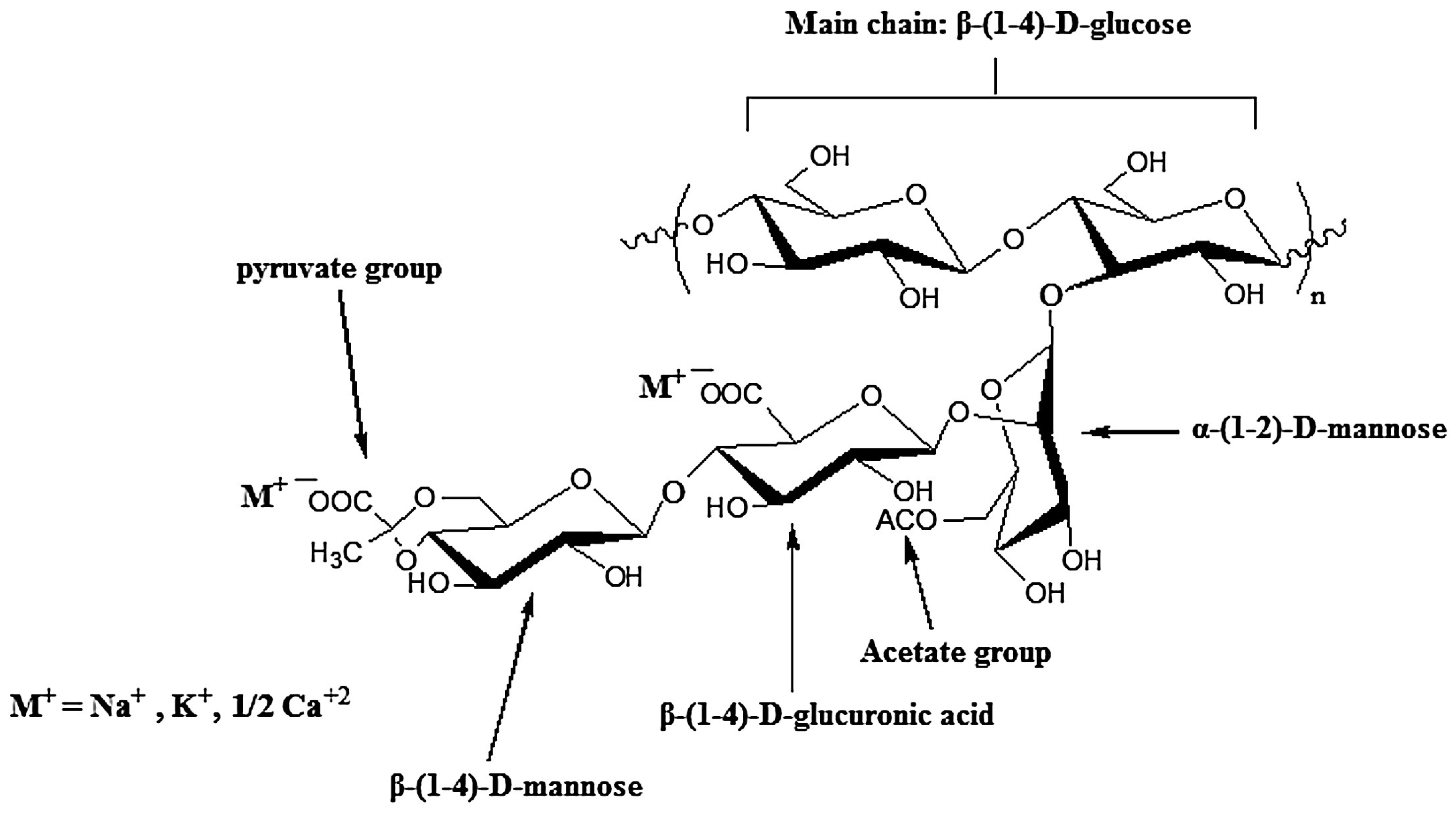 Pharmaceutics 15 00759 g011