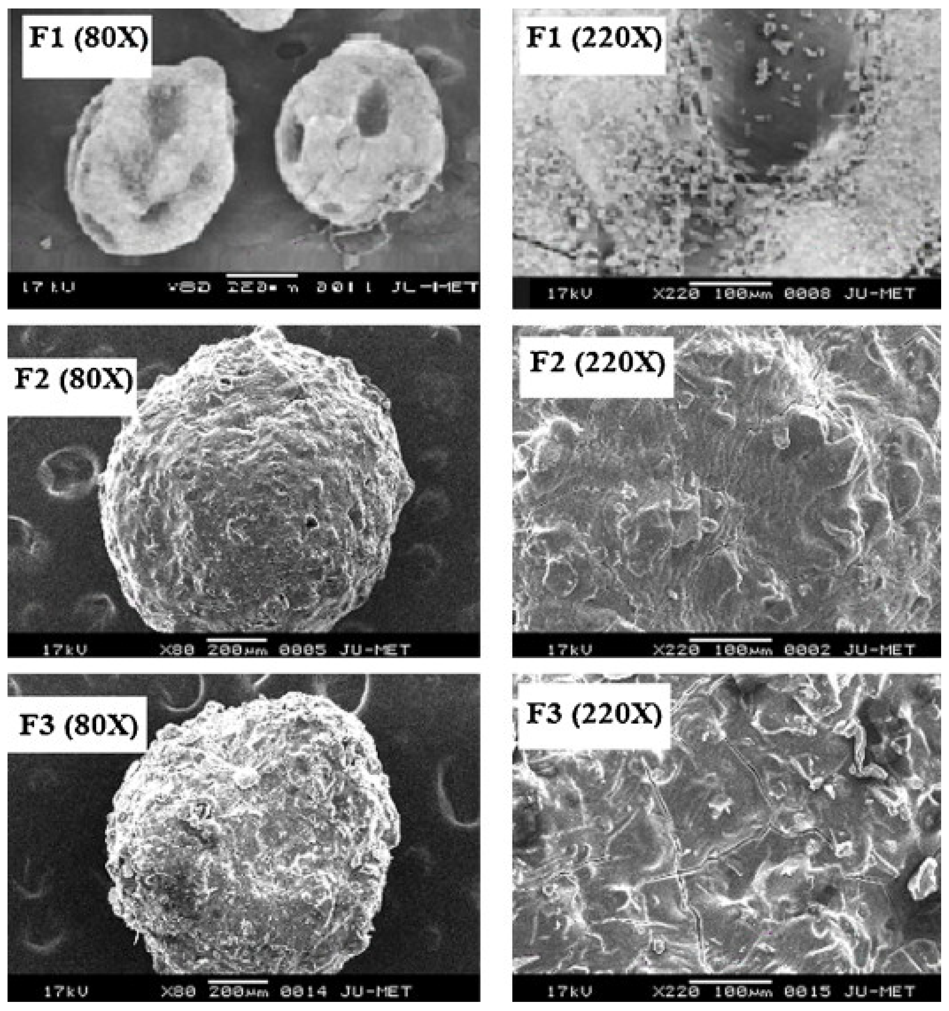 Pharmaceutics 15 00759 g012