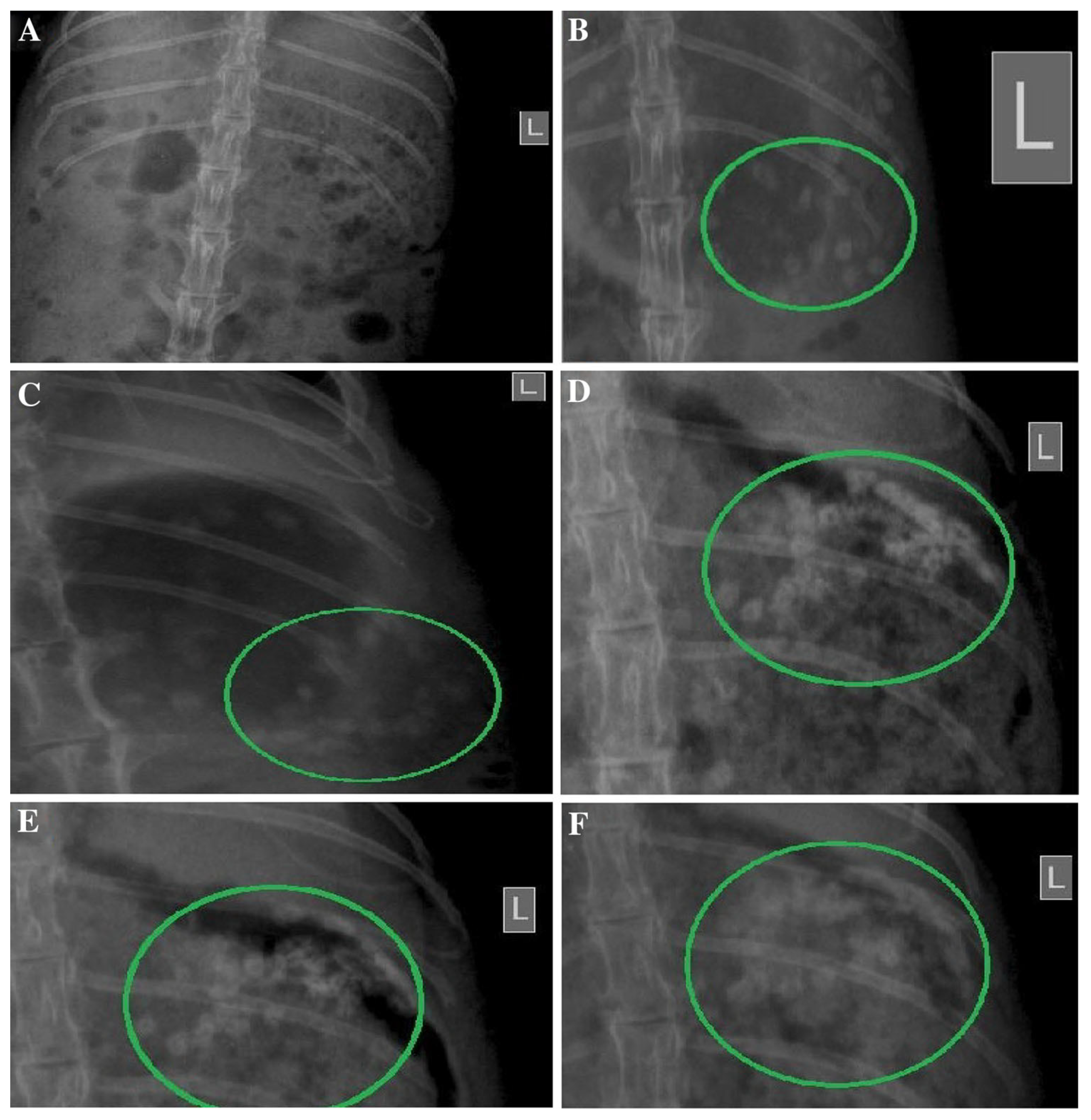 Pharmaceutics 15 00759 g016