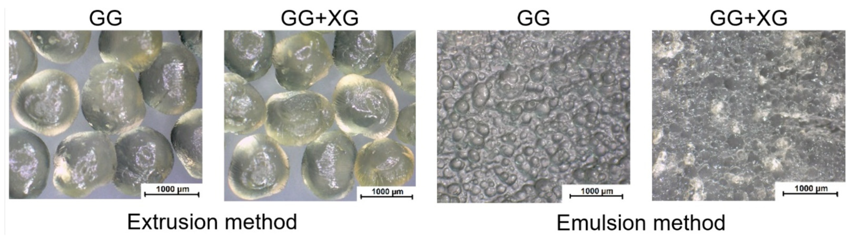 Pharmaceutics 15 00759 g017