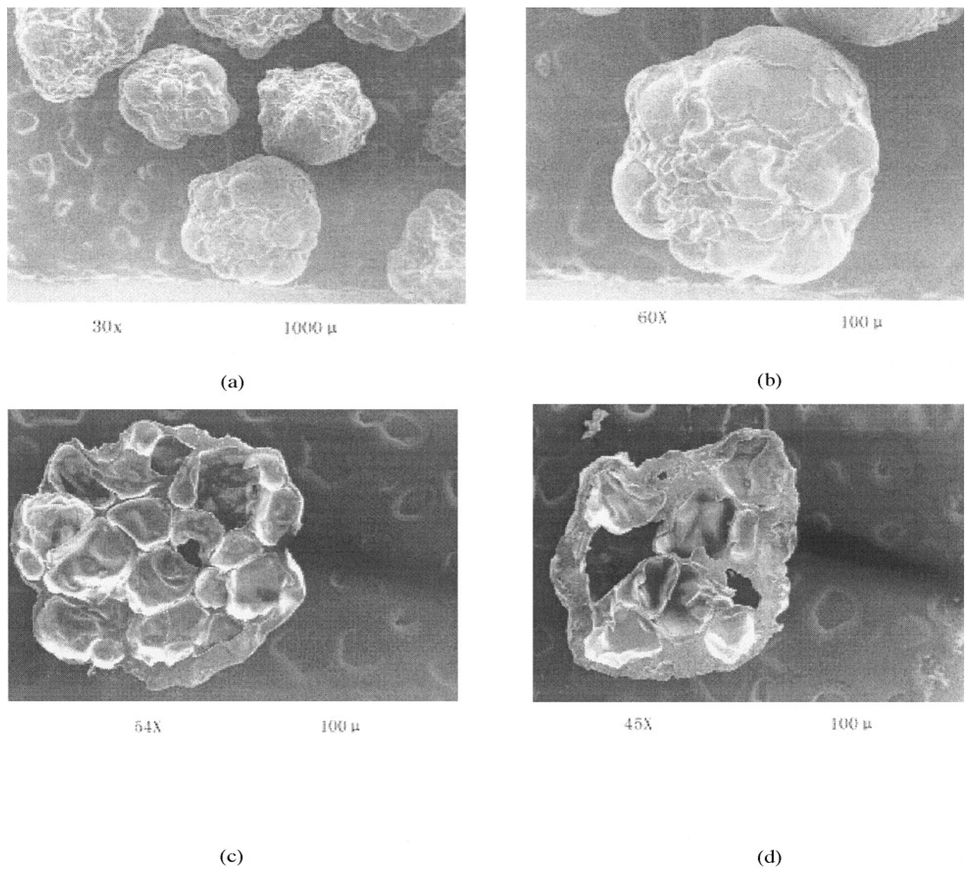 Pharmaceutics 15 00759 g018
