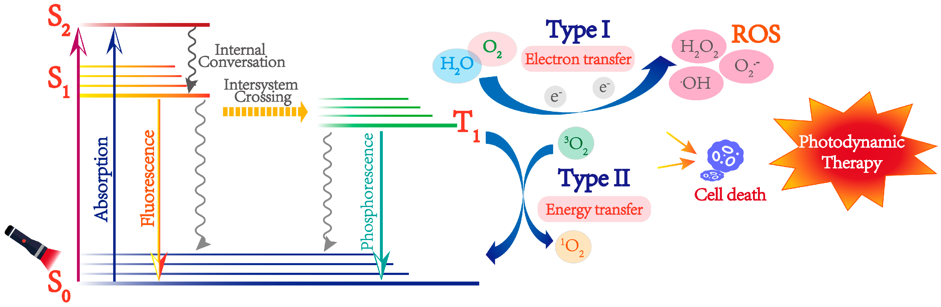 Pharmaceutics 15 00760 g001
