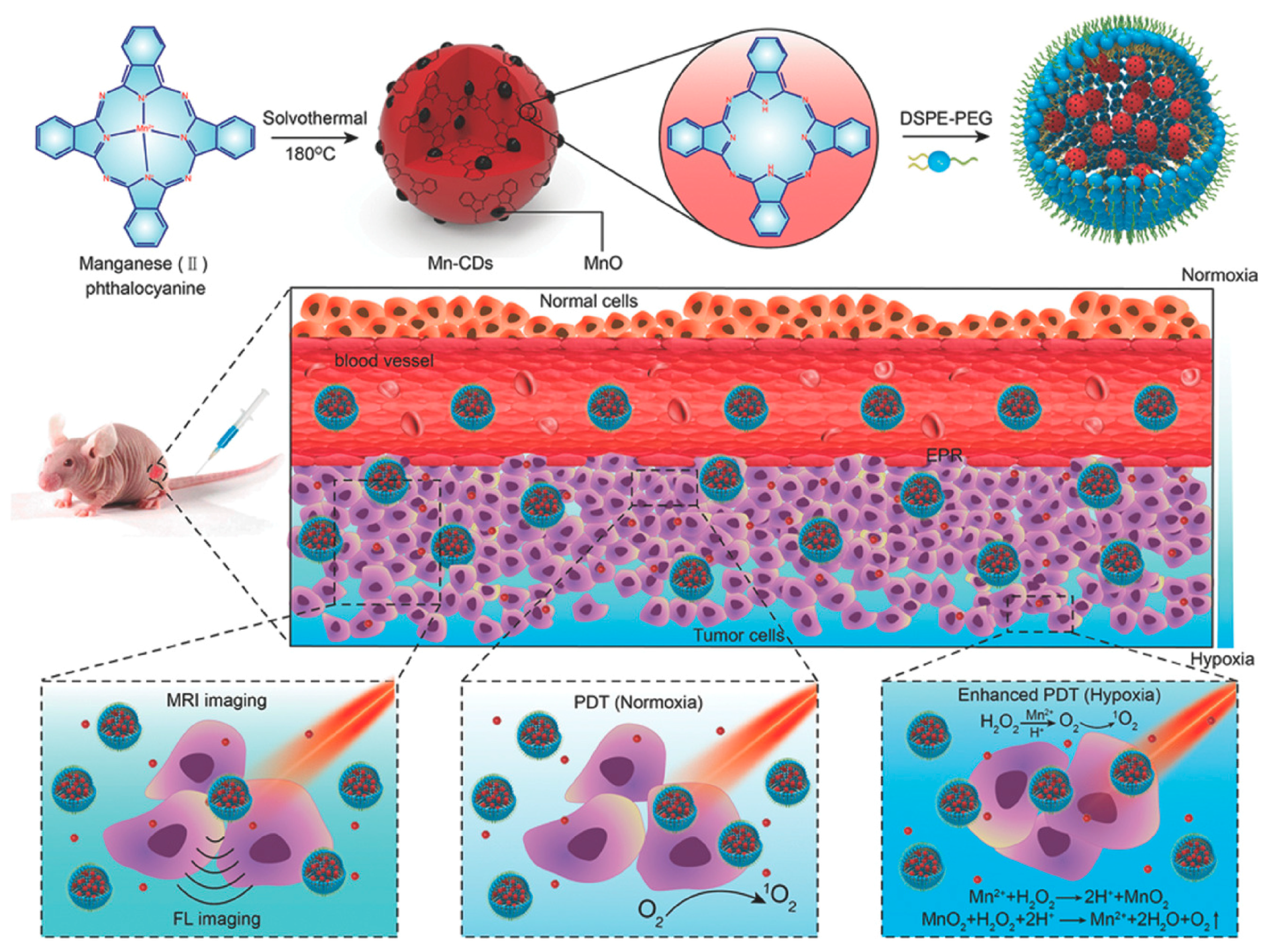 Pharmaceutics 15 00760 g006