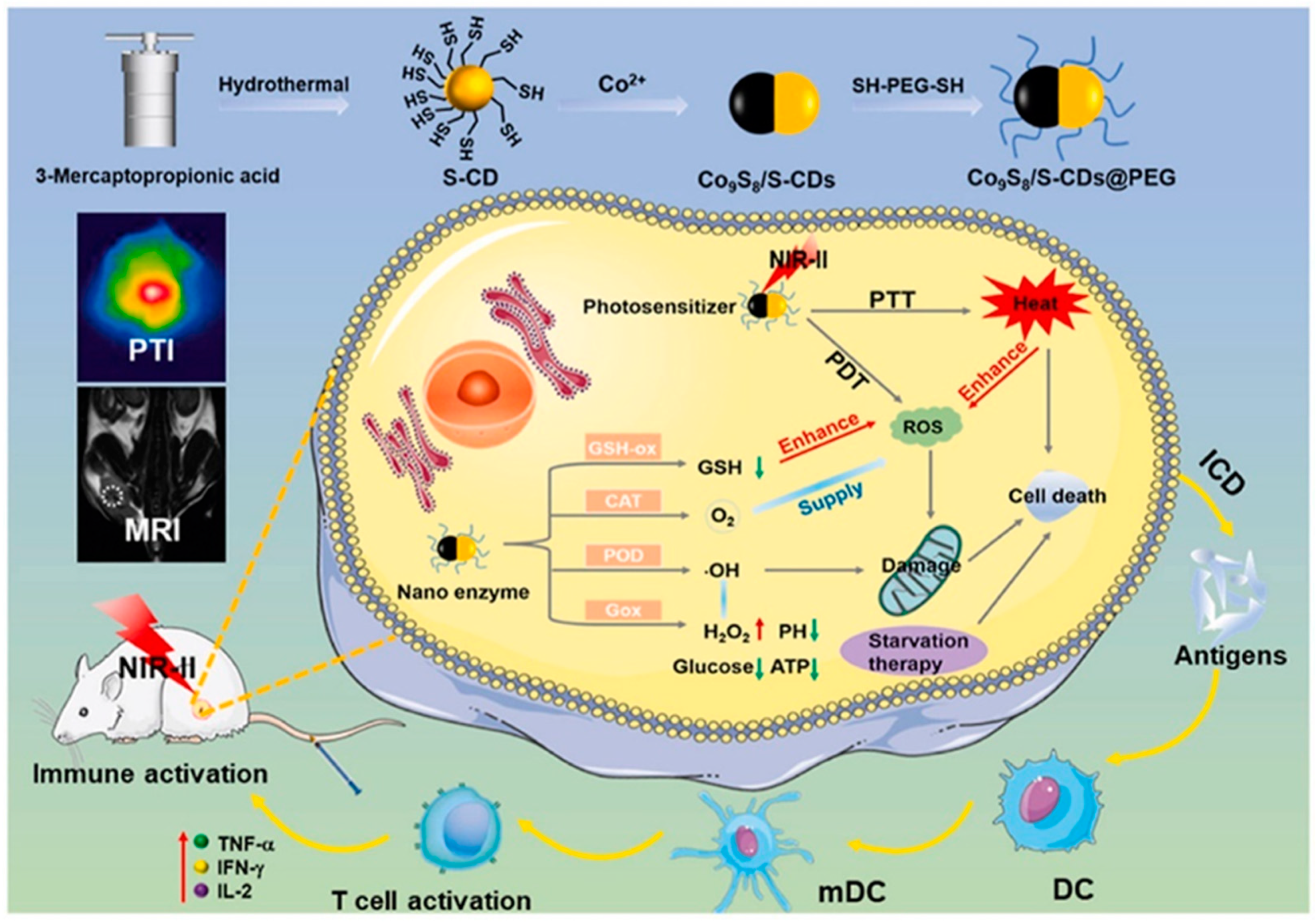 Pharmaceutics 15 00760 g007
