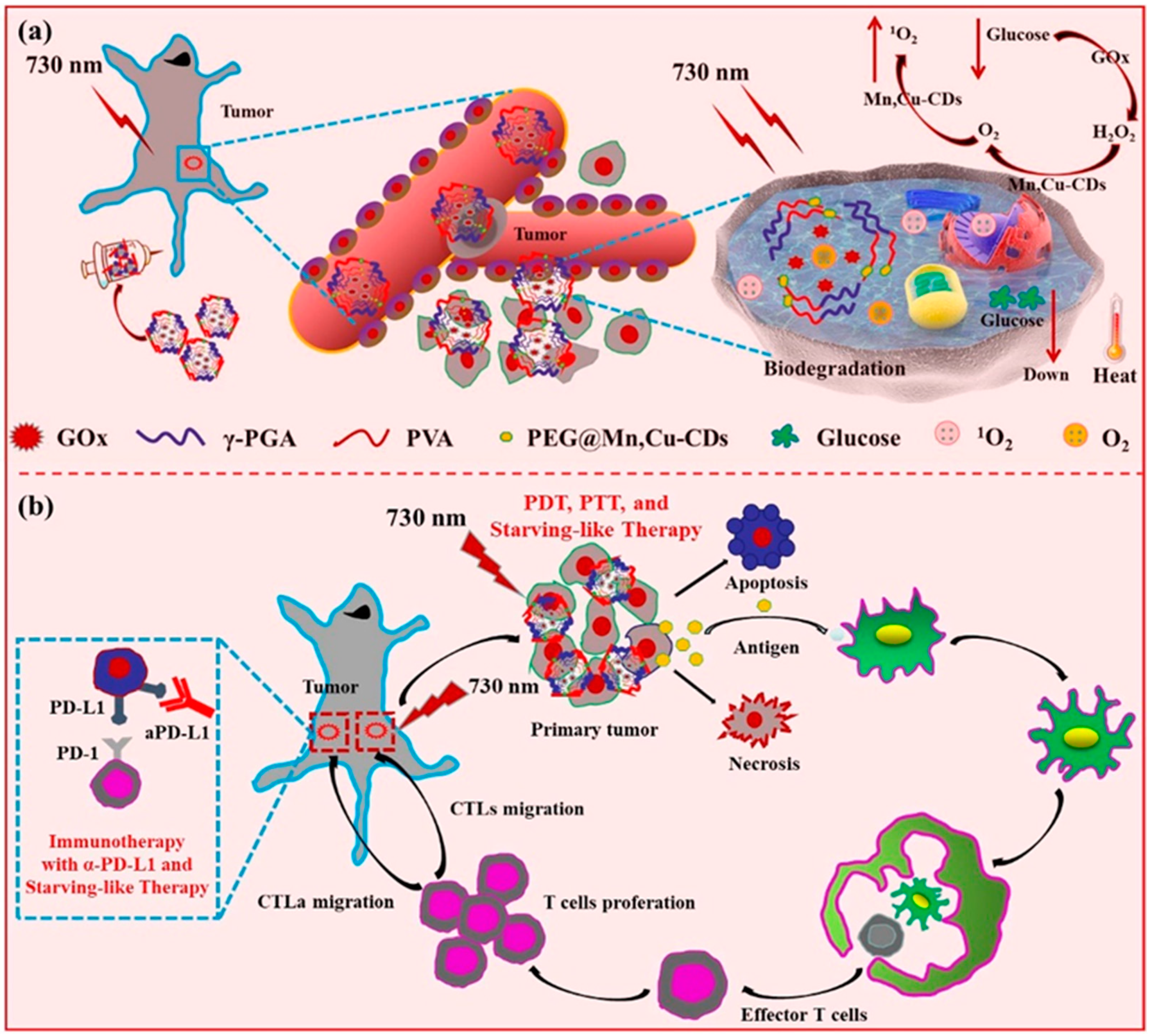 Pharmaceutics 15 00760 g008