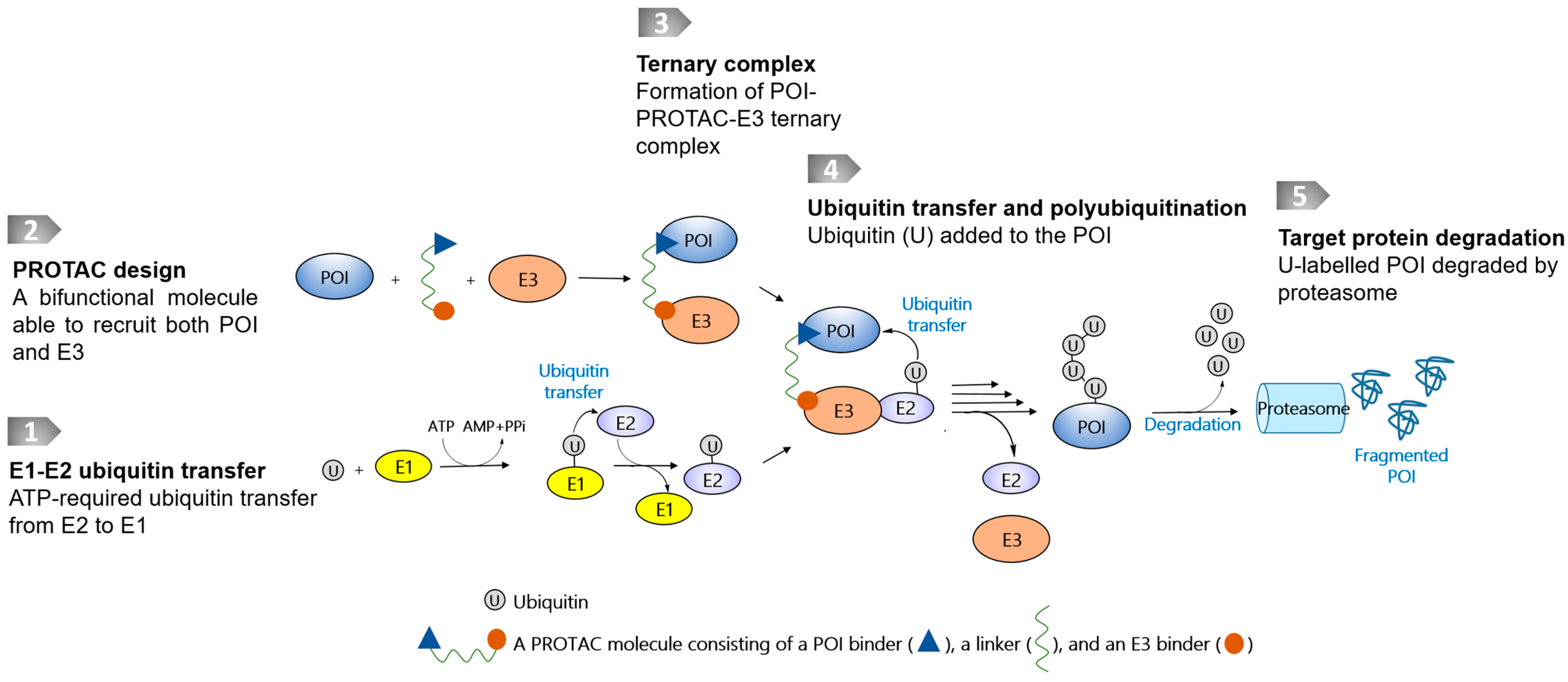 Pharmaceutics 15 00765 g001 Pharmaceutics 15 00765 g001