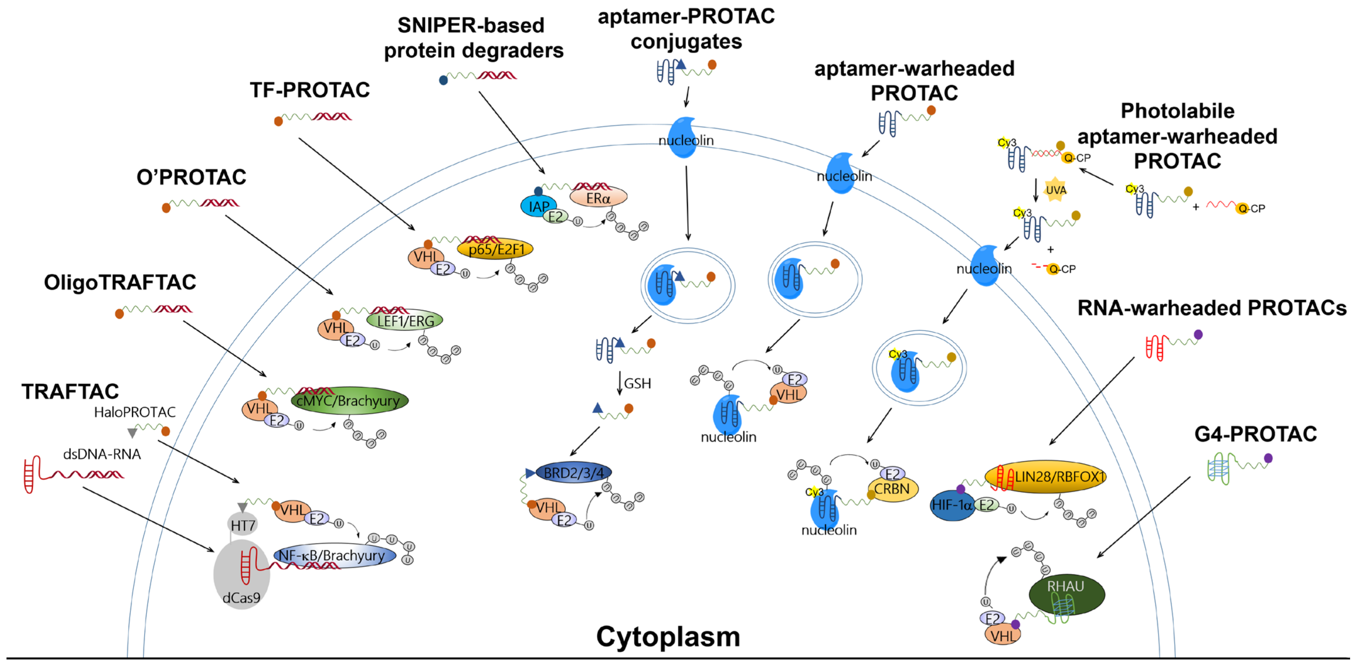 Pharmaceutics 15 00765 g002 Pharmaceutics 15 00765 g002
