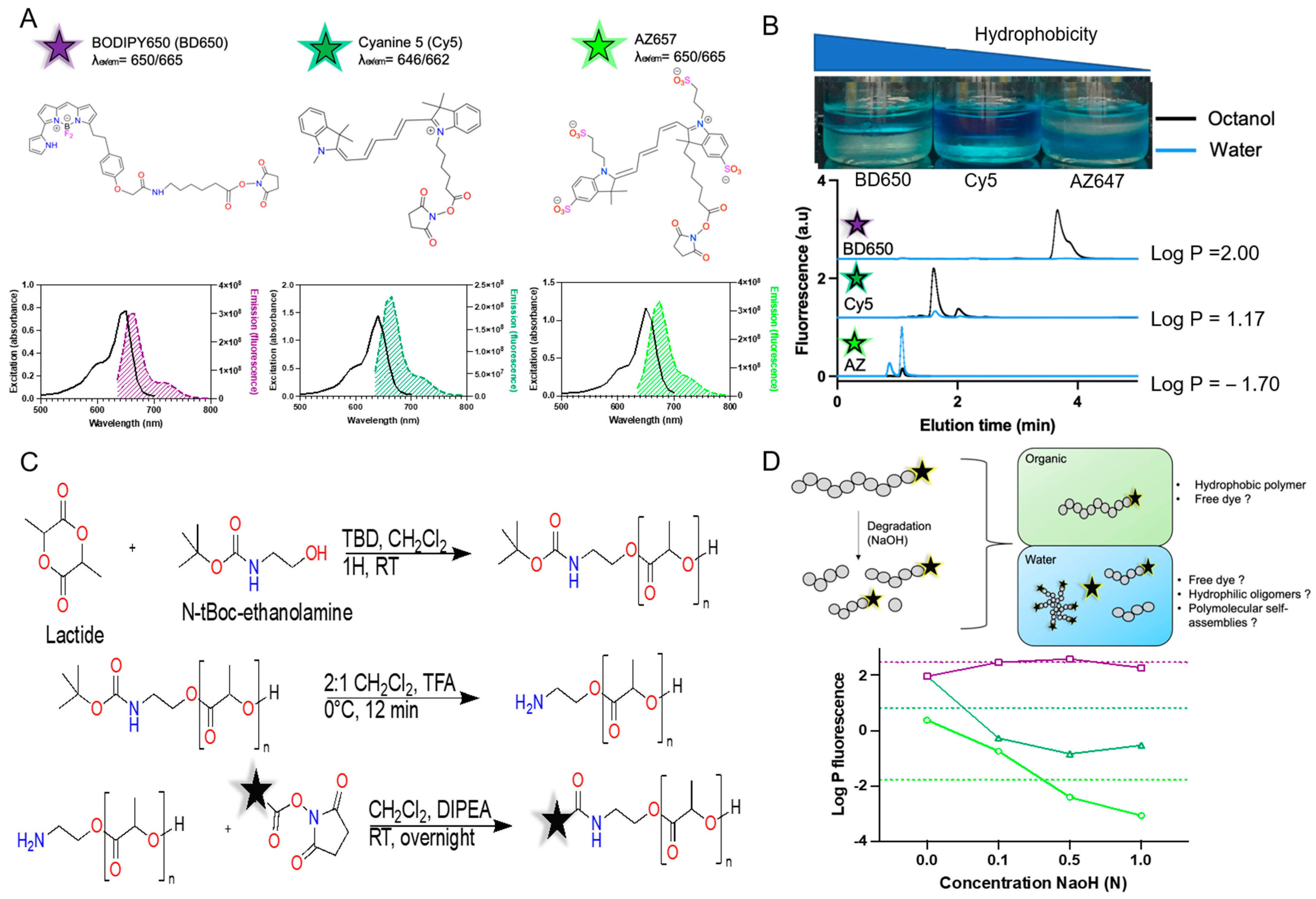 Pharmaceutics 15 00769 g001