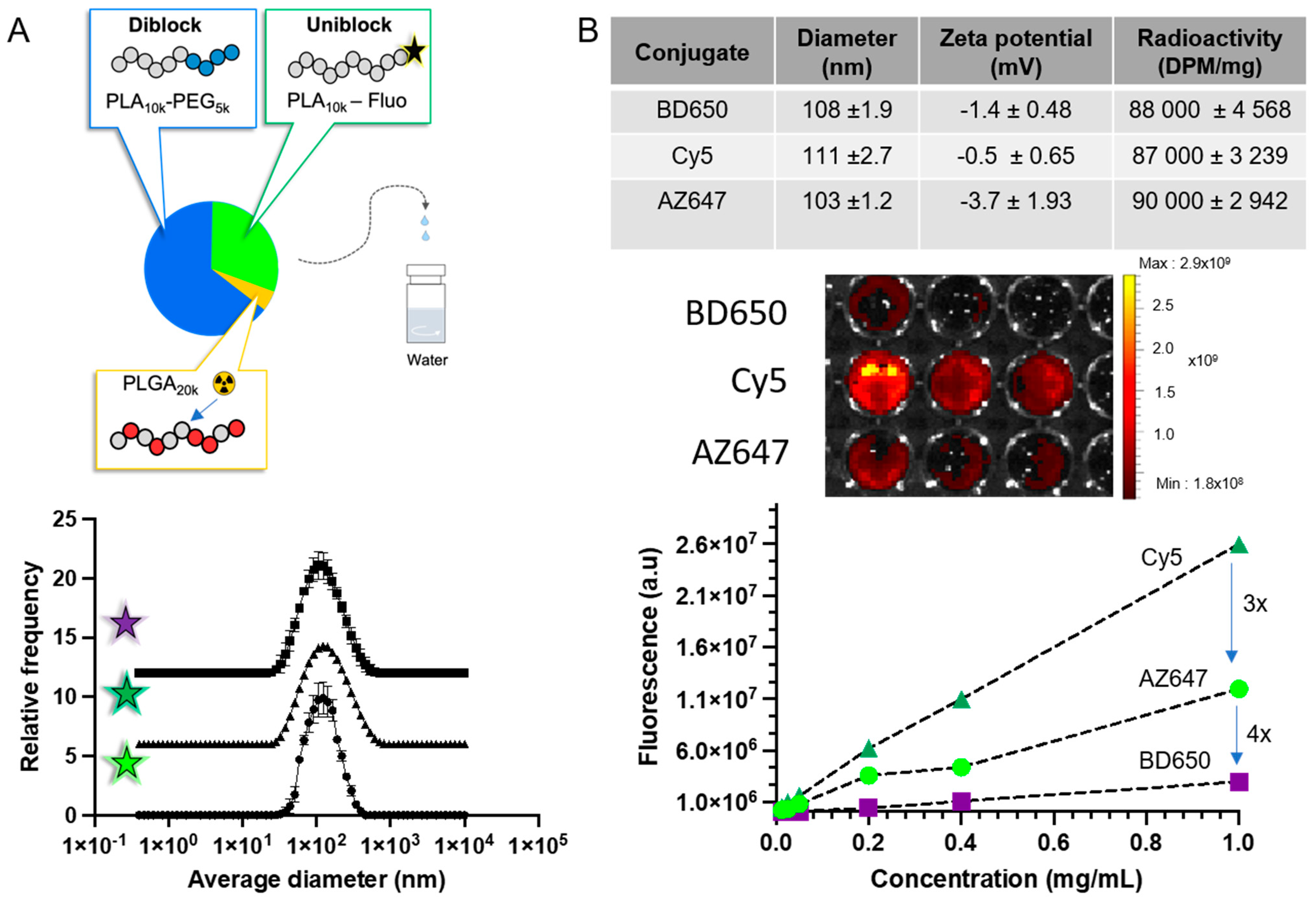 Pharmaceutics 15 00769 g002