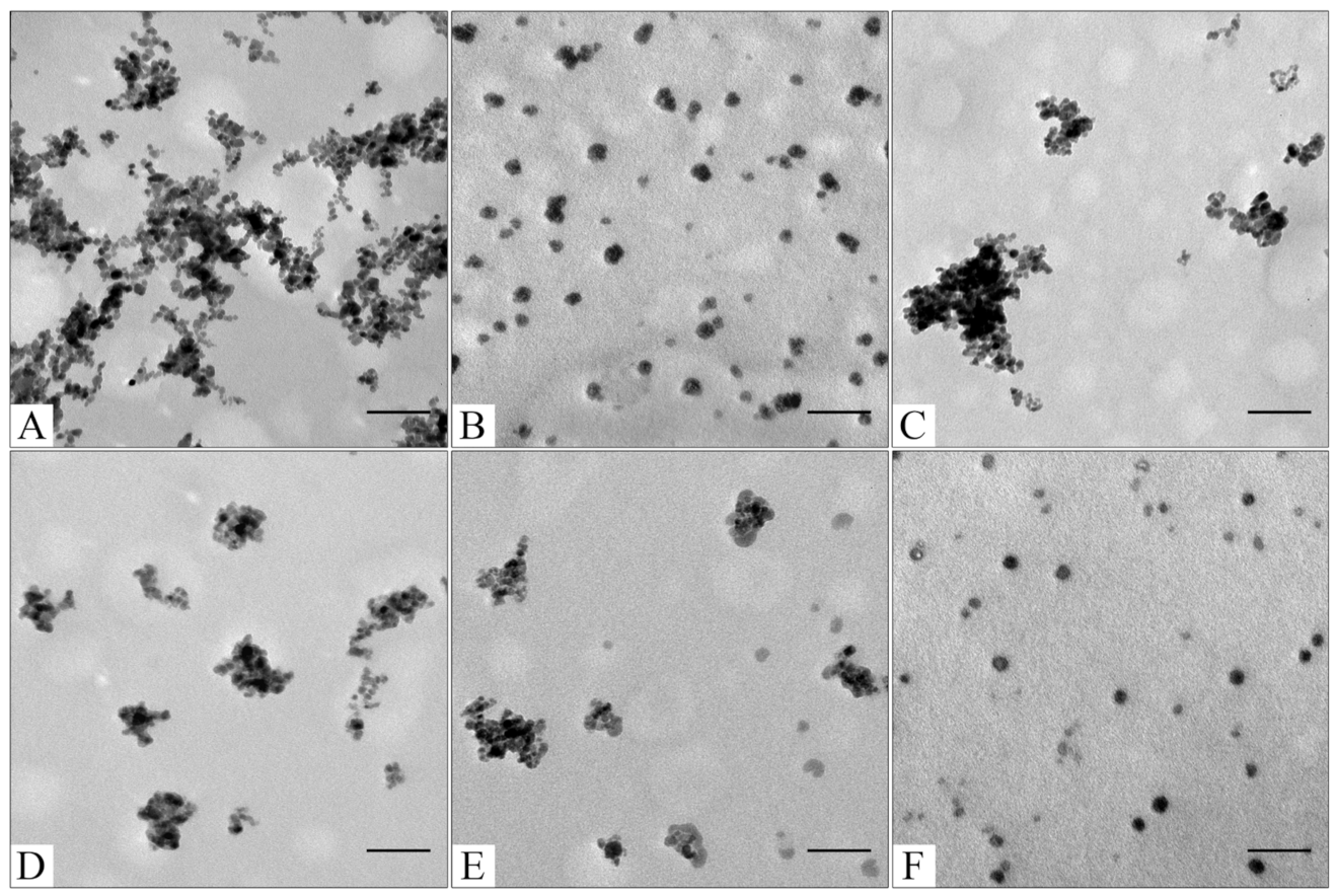 Pharmaceutics 15 00771 g002