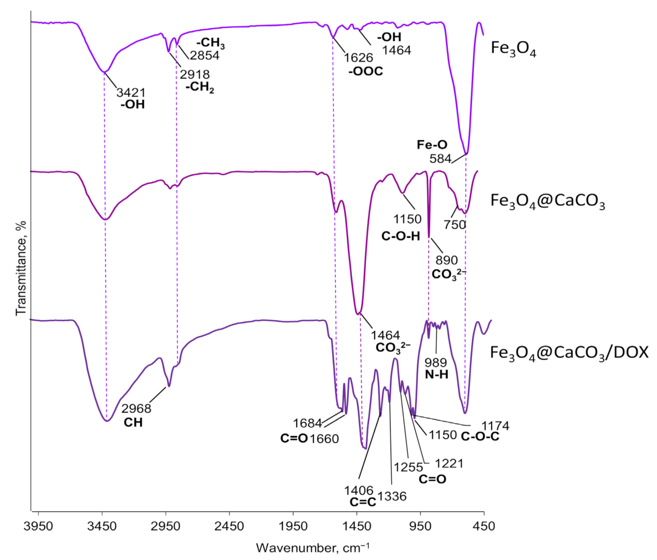 Pharmaceutics 15 00771 g004