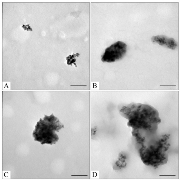 Pharmaceutics 15 00771 g006