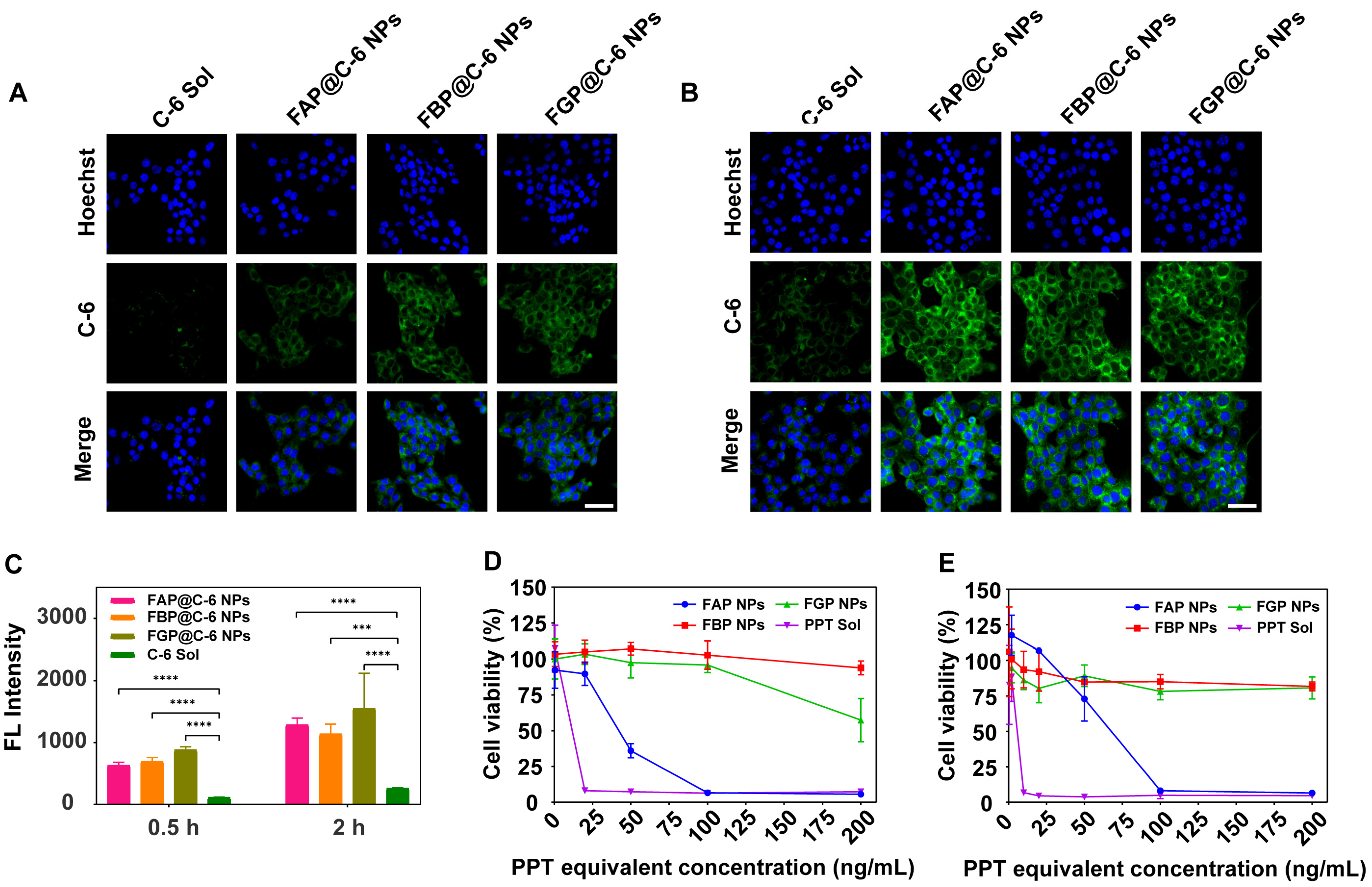 Pharmaceutics 15 00784 g004 Pharmaceutics 15 00784 g004