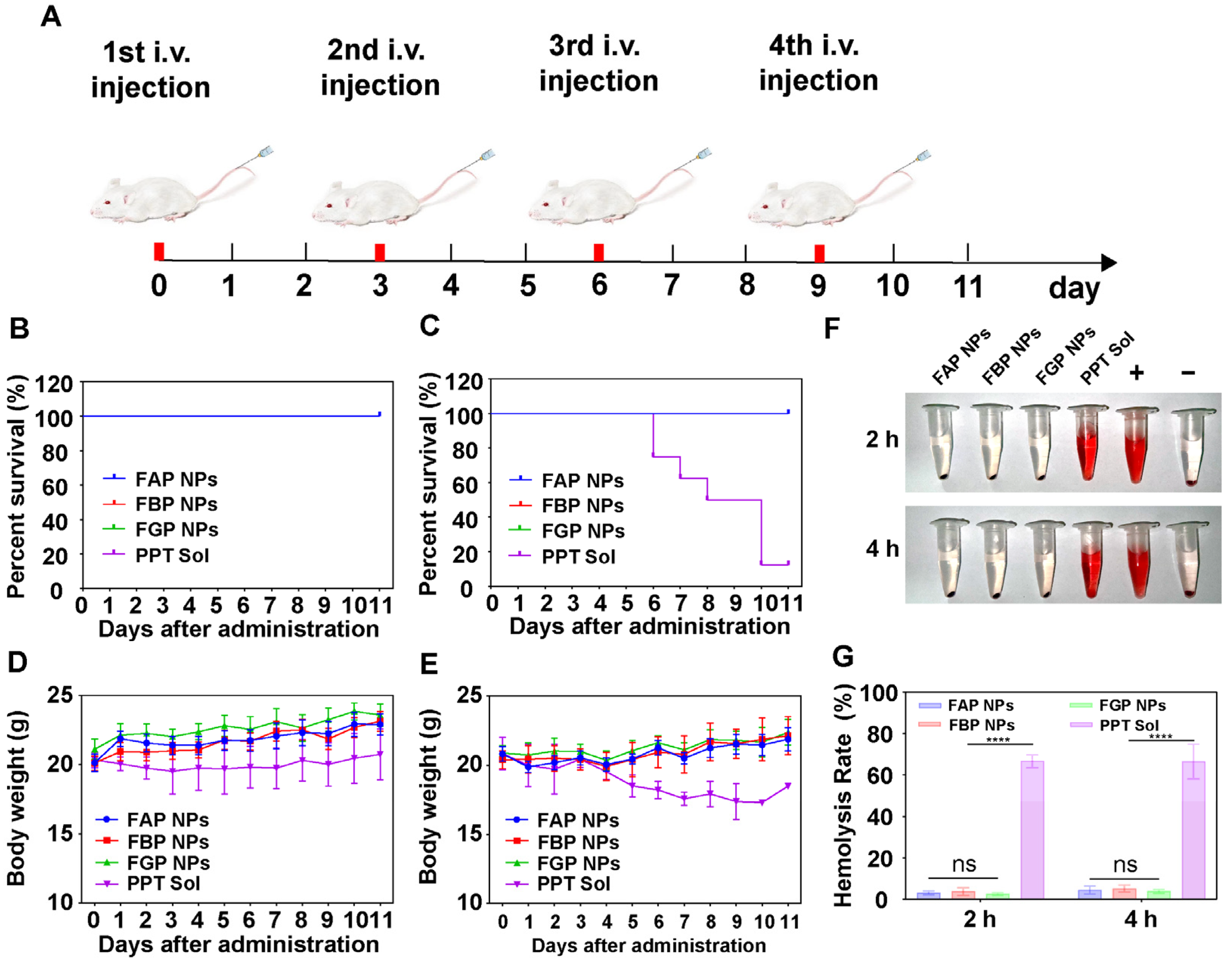 Pharmaceutics 15 00784 g007 Pharmaceutics 15 00784 g007