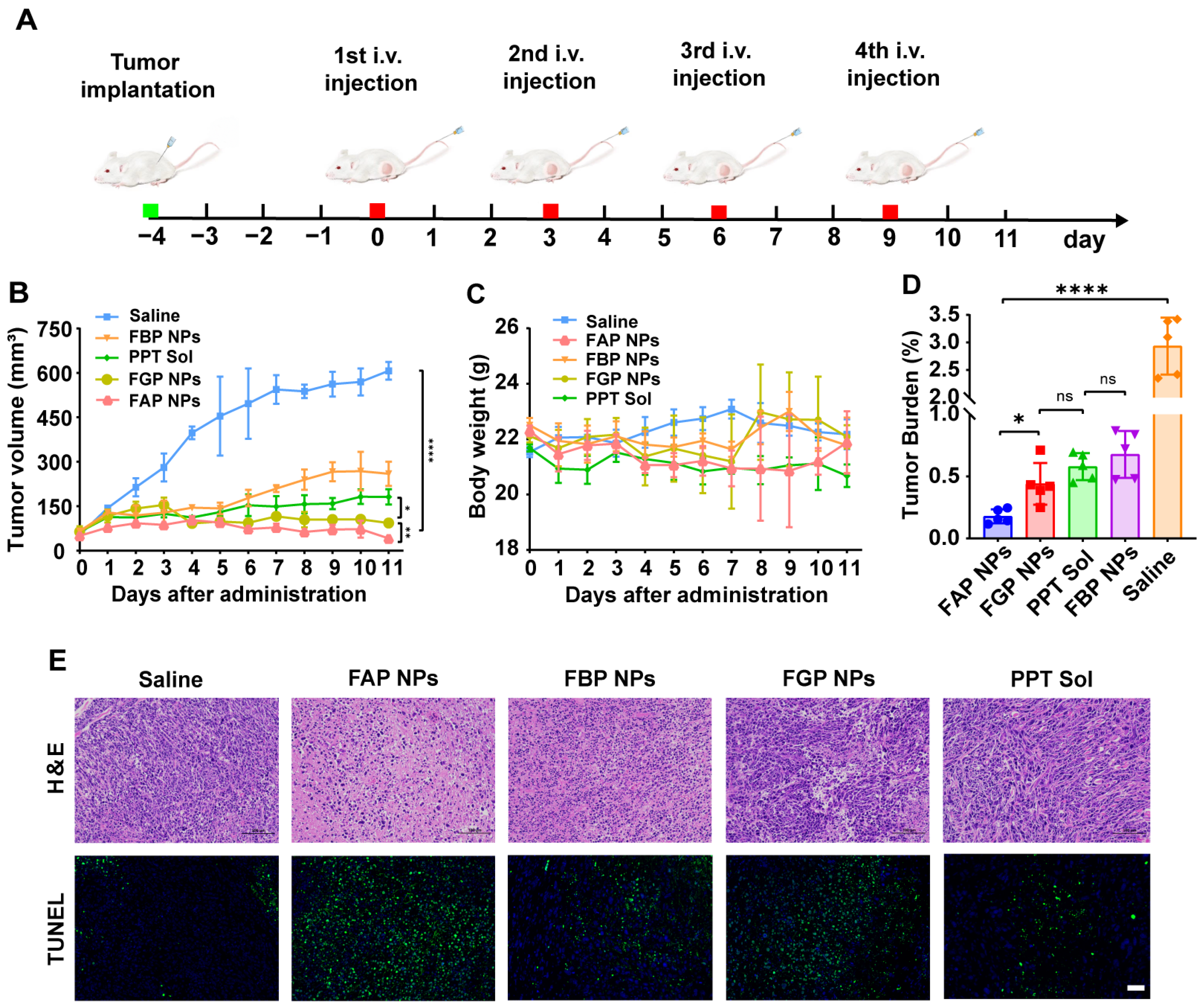 Pharmaceutics 15 00784 g008 Pharmaceutics 15 00784 g008