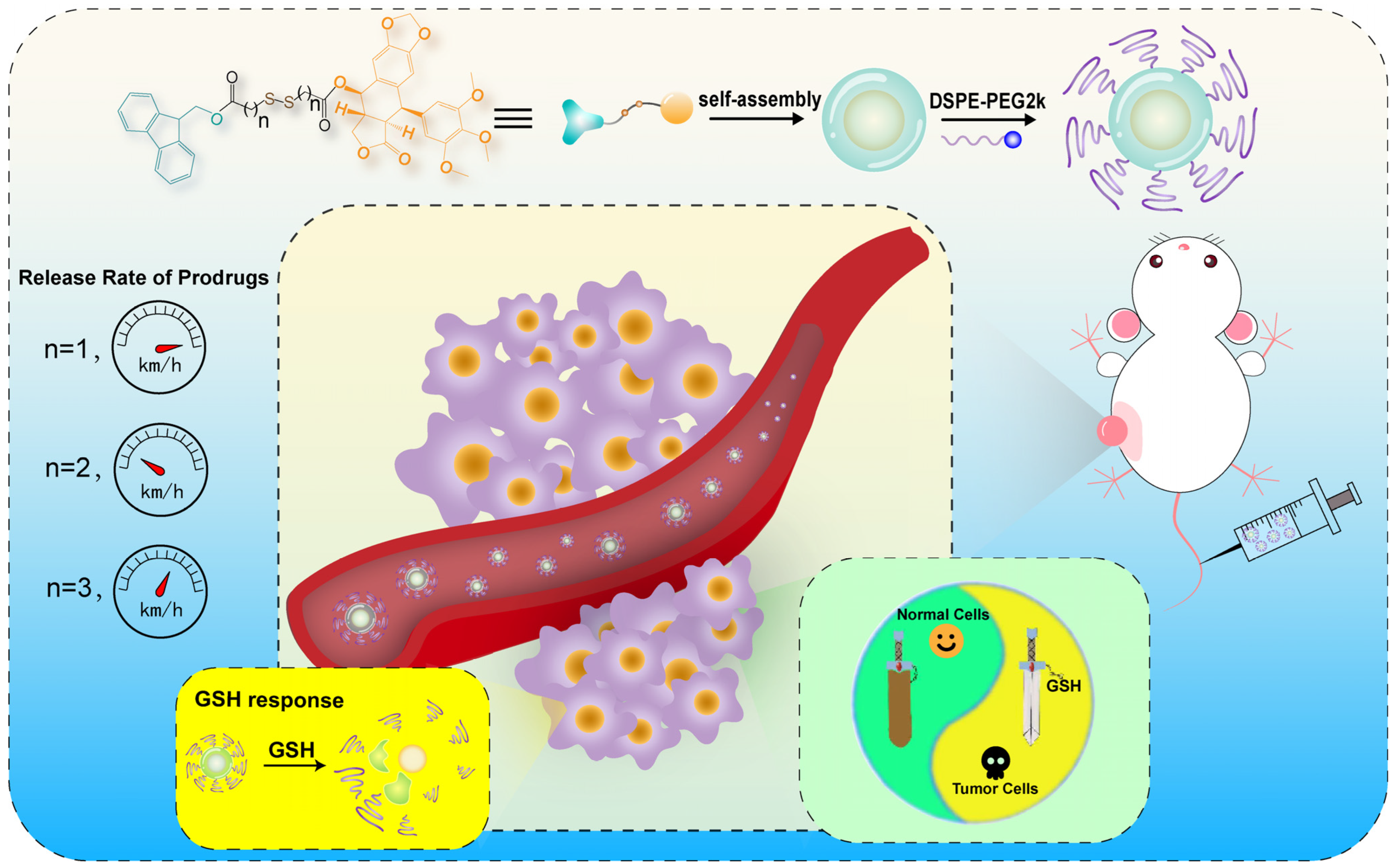 Pharmaceutics 15 00784 sch001 Pharmaceutics 15 00784 sch001