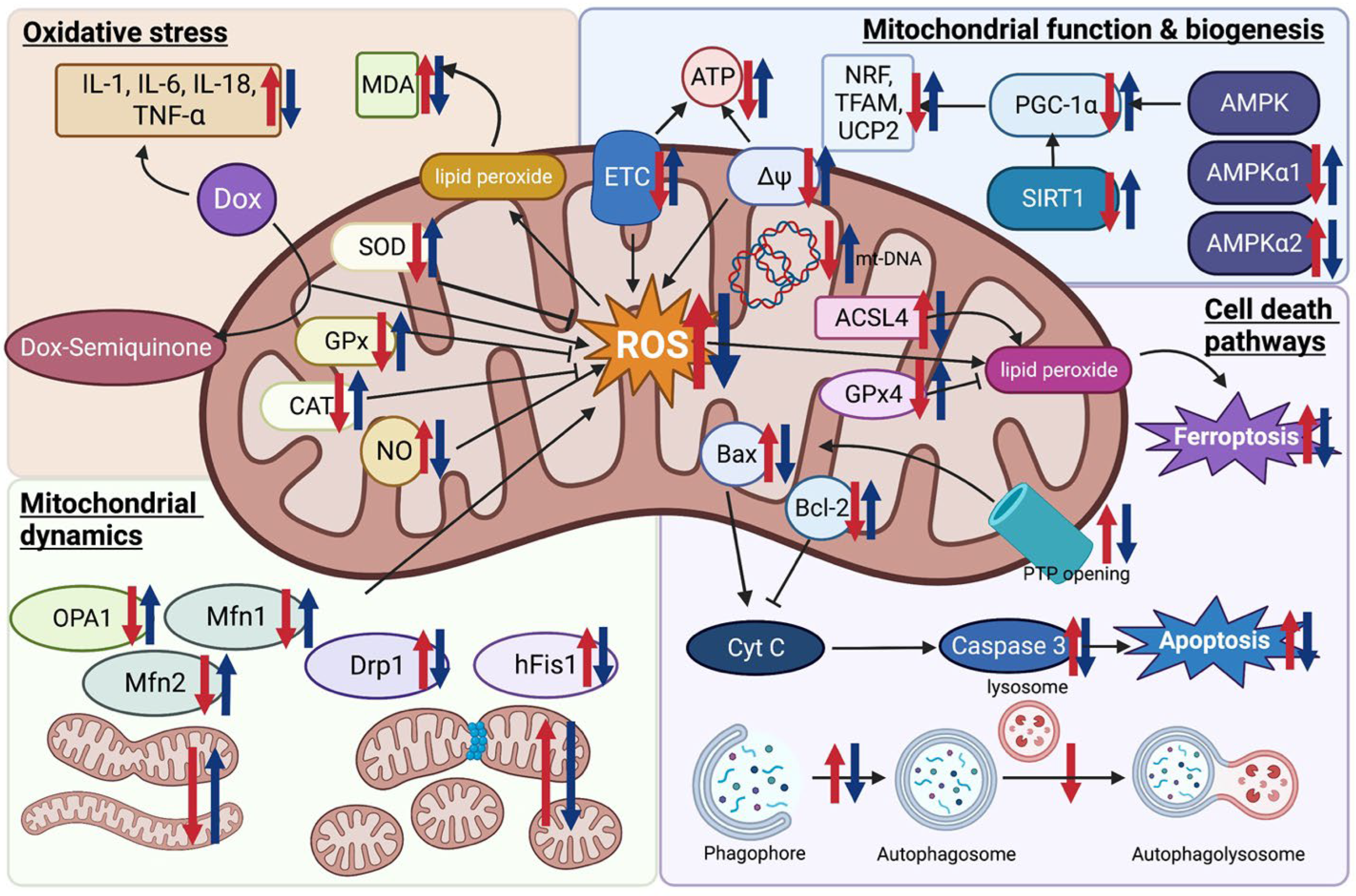 Pharmaceutics 15 00785 g001 Pharmaceutics 15 00785 g001