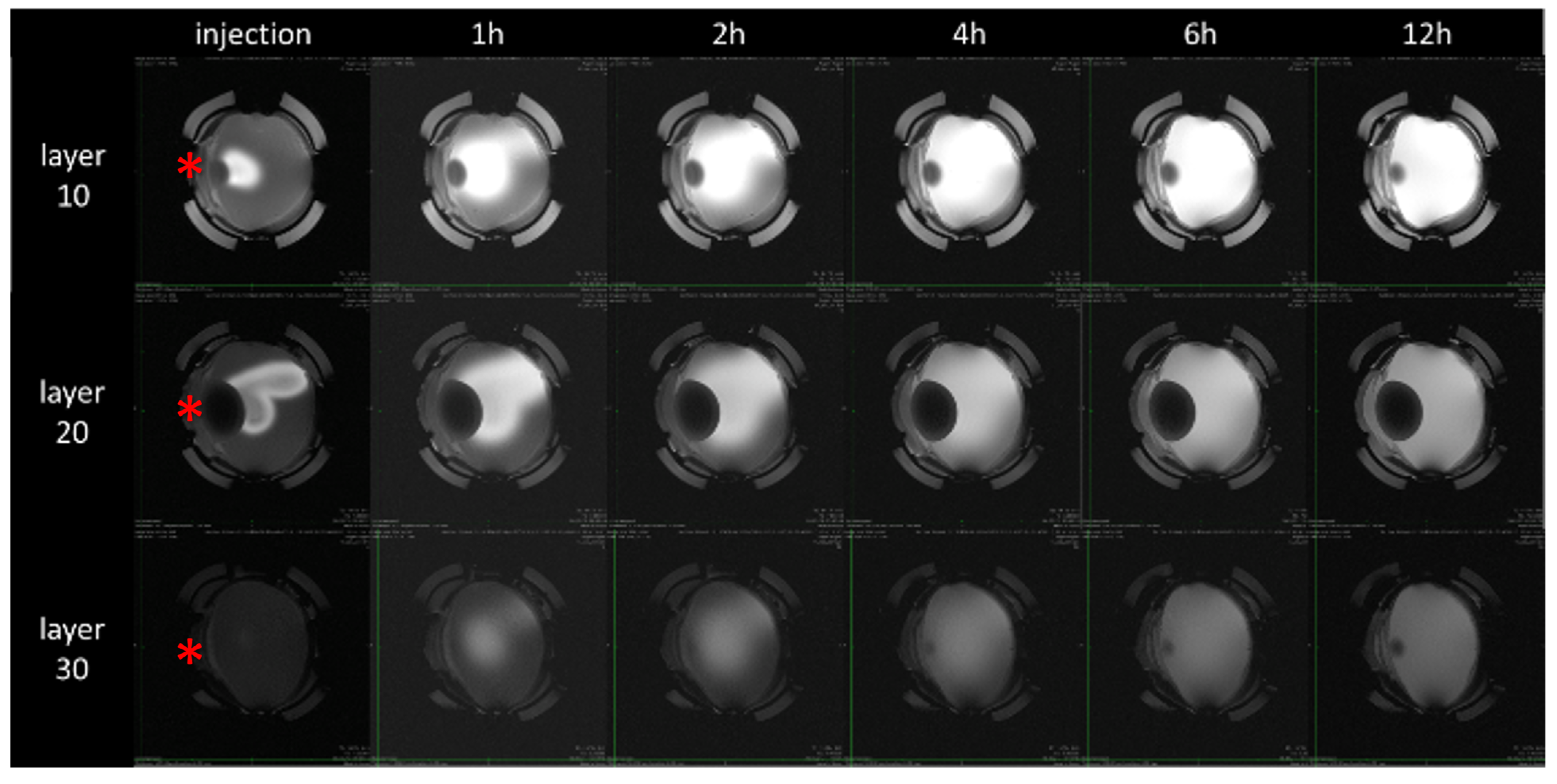 Pharmaceutics 15 00786 g004