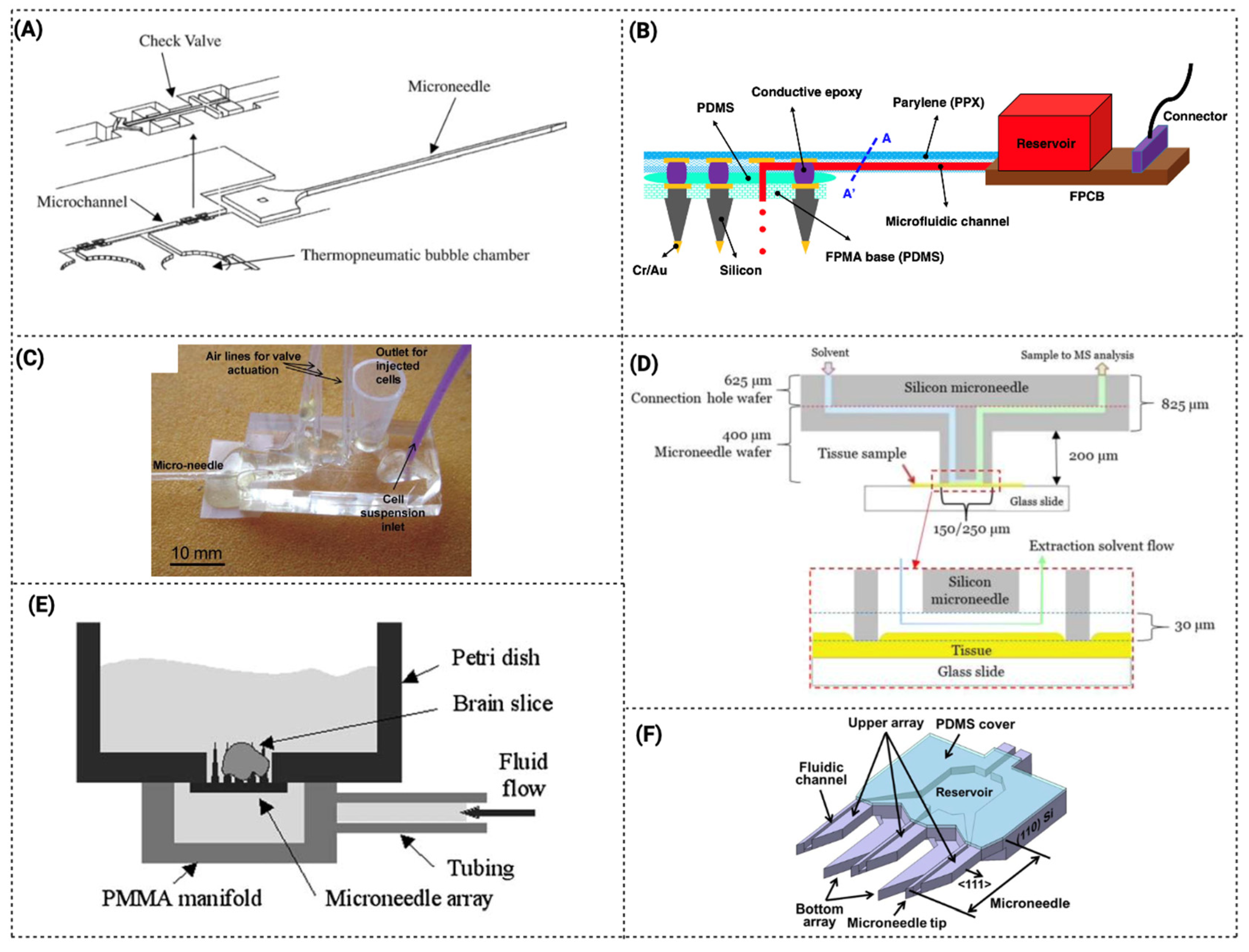 Pharmaceutics 15 00792 g005