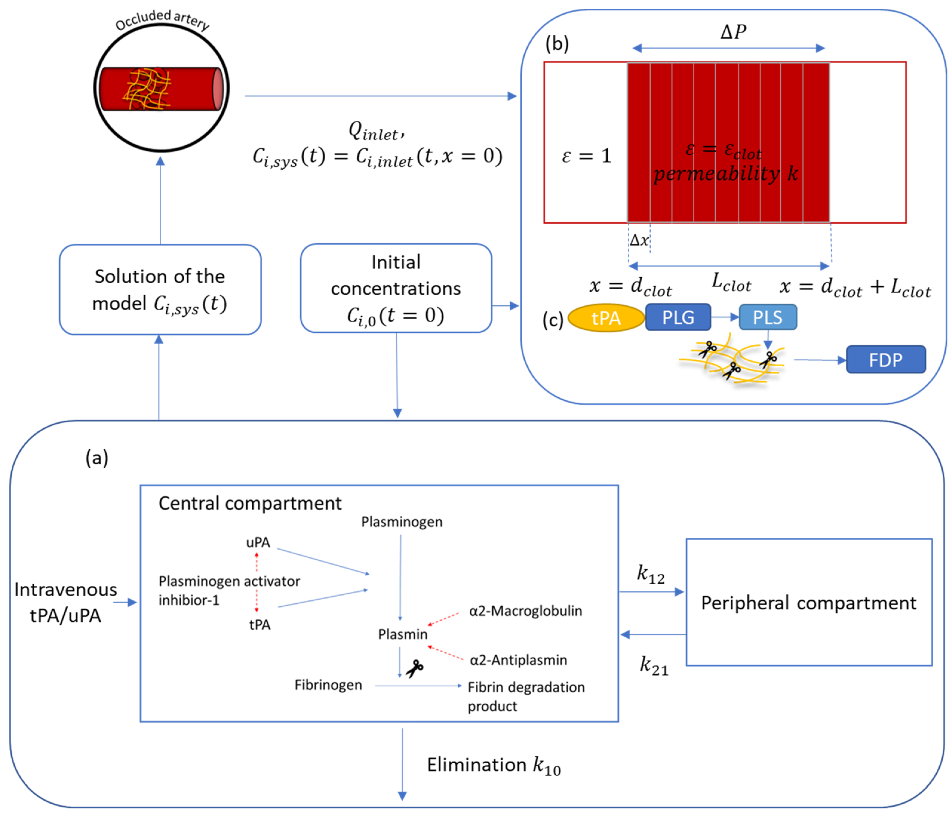 Pharmaceutics 15 00797 g001