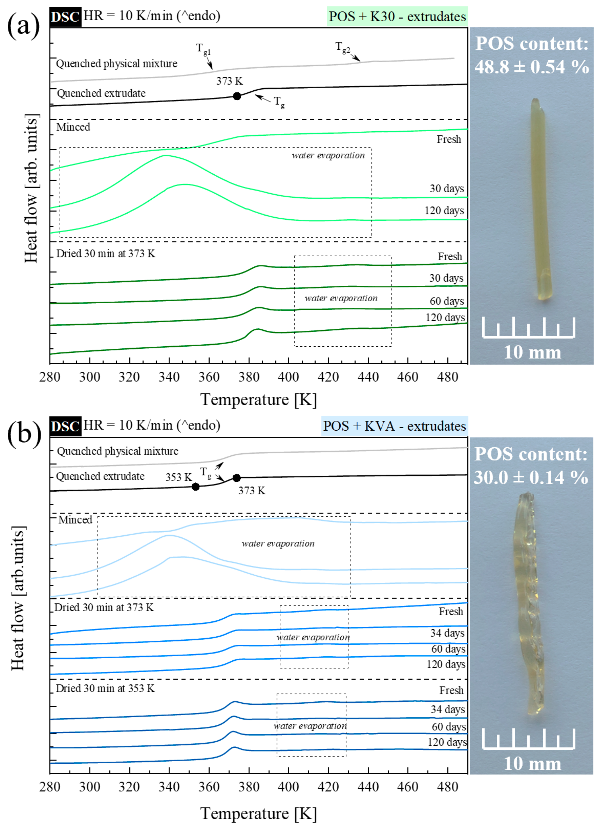 Pharmaceutics 15 00799 g007