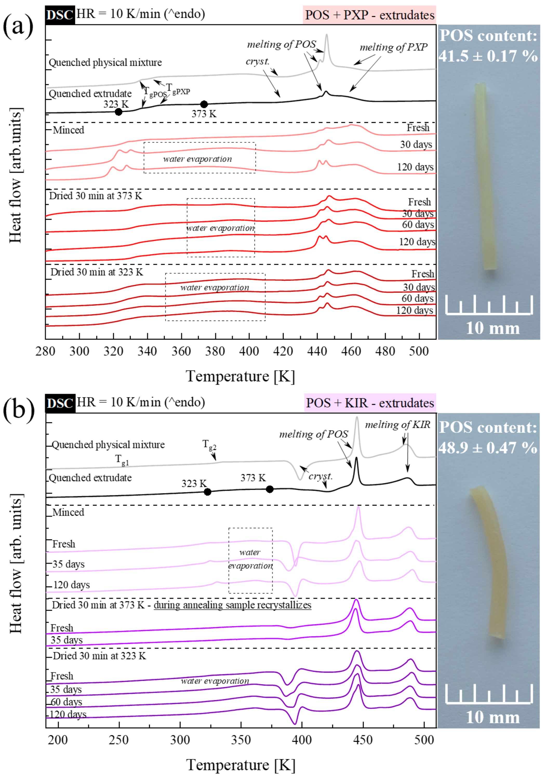 Pharmaceutics 15 00799 g008