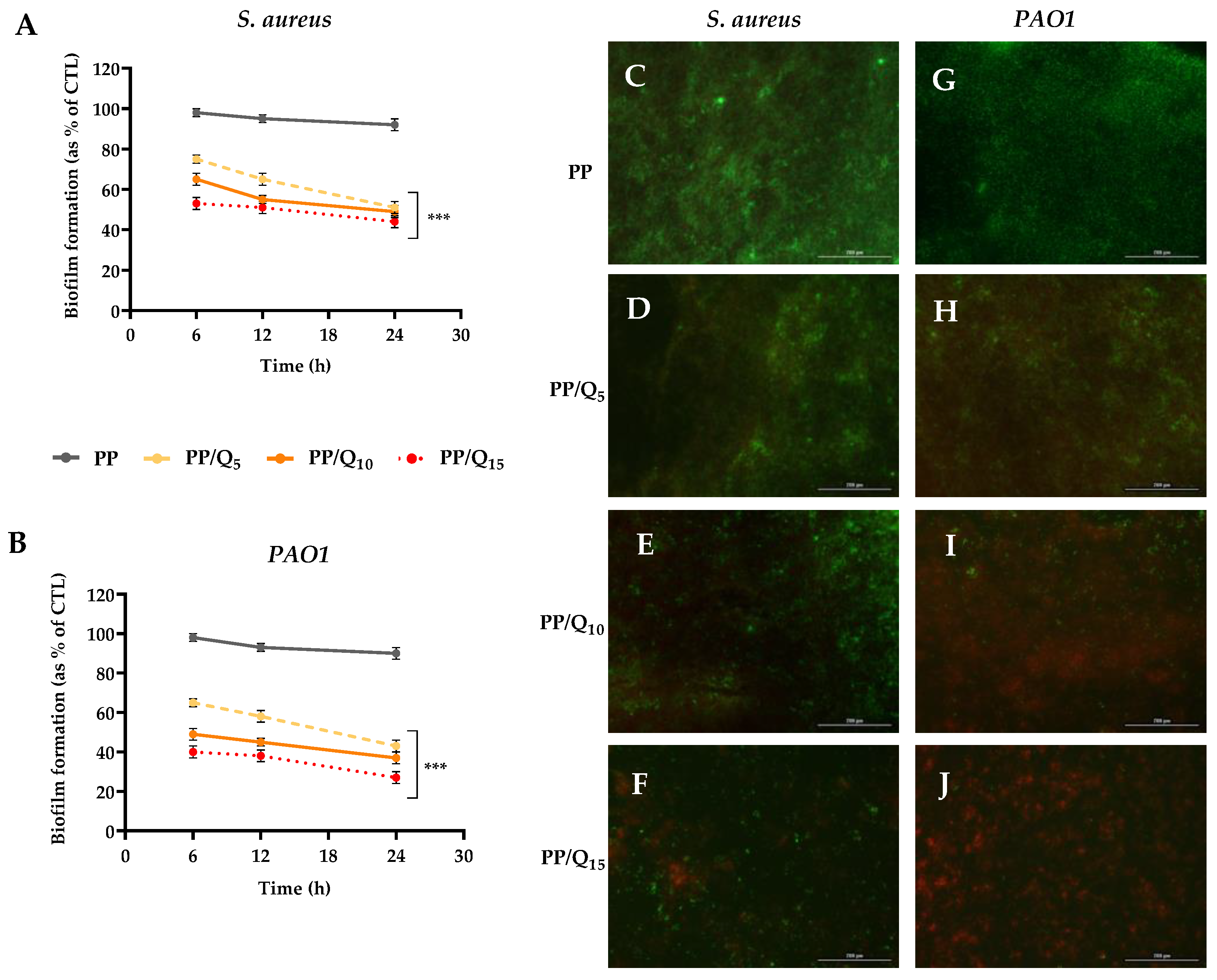 Pharmaceutics 15 00805 g004