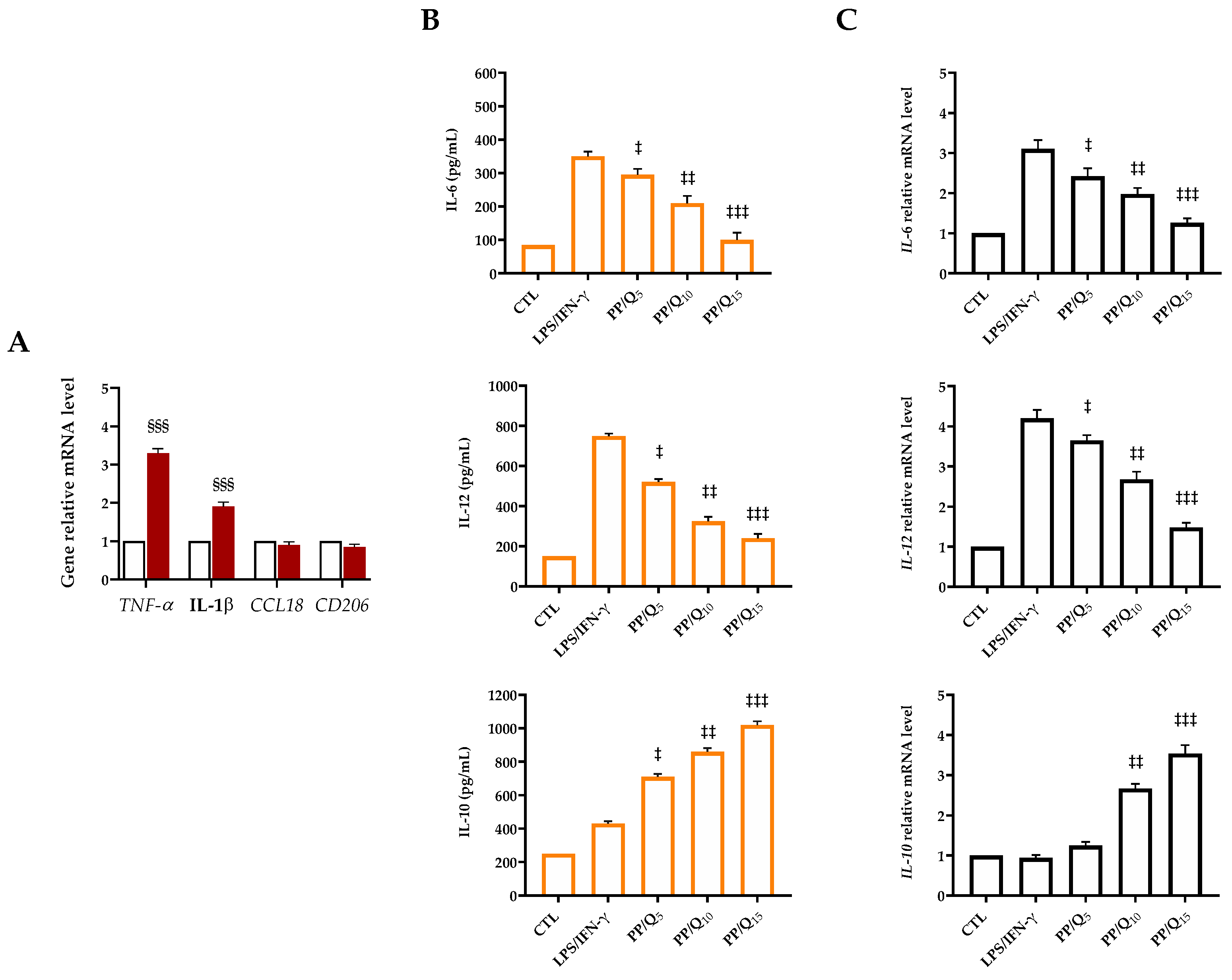 Pharmaceutics 15 00805 g005