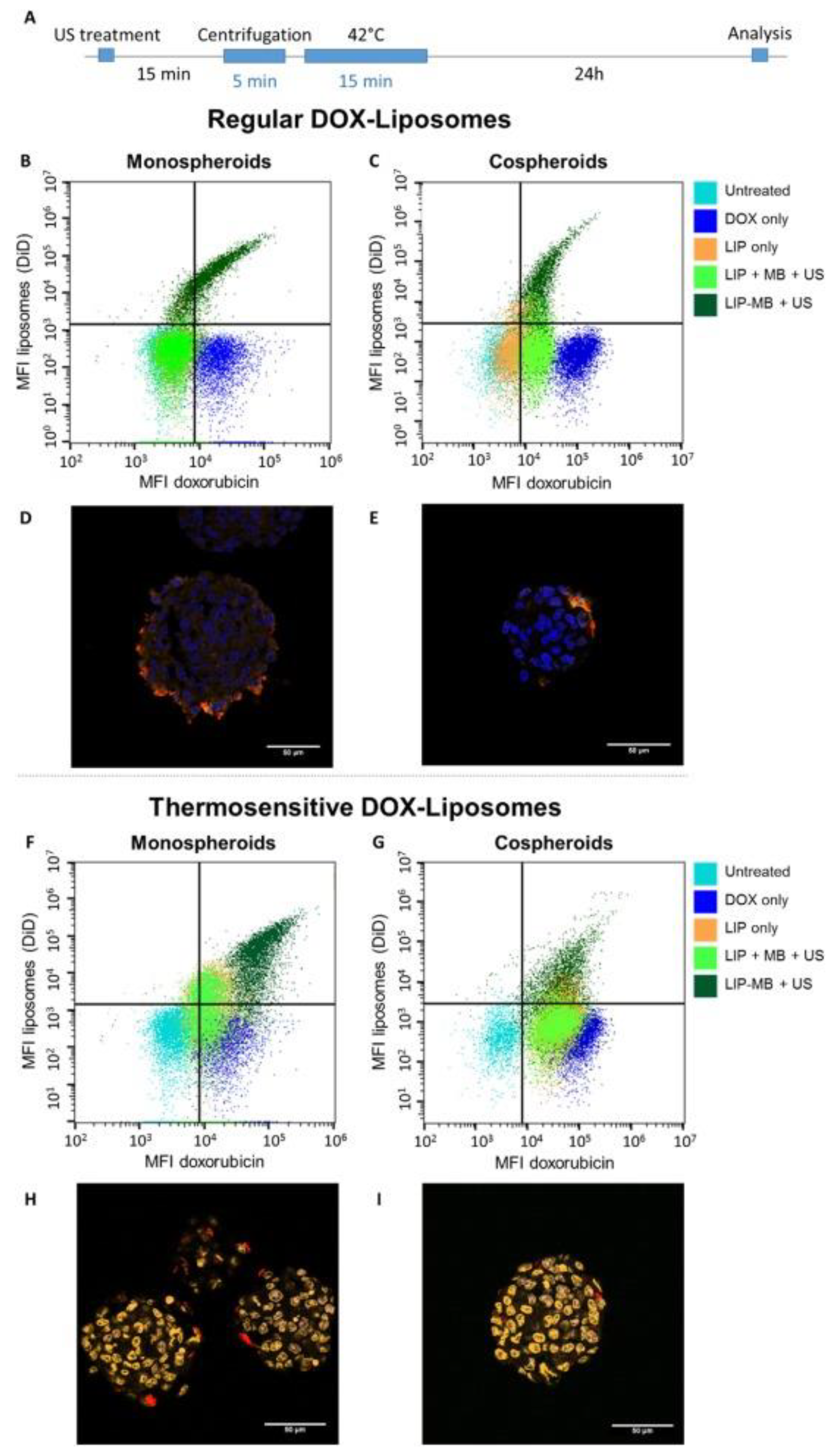 Pharmaceutics 15 00806 g004