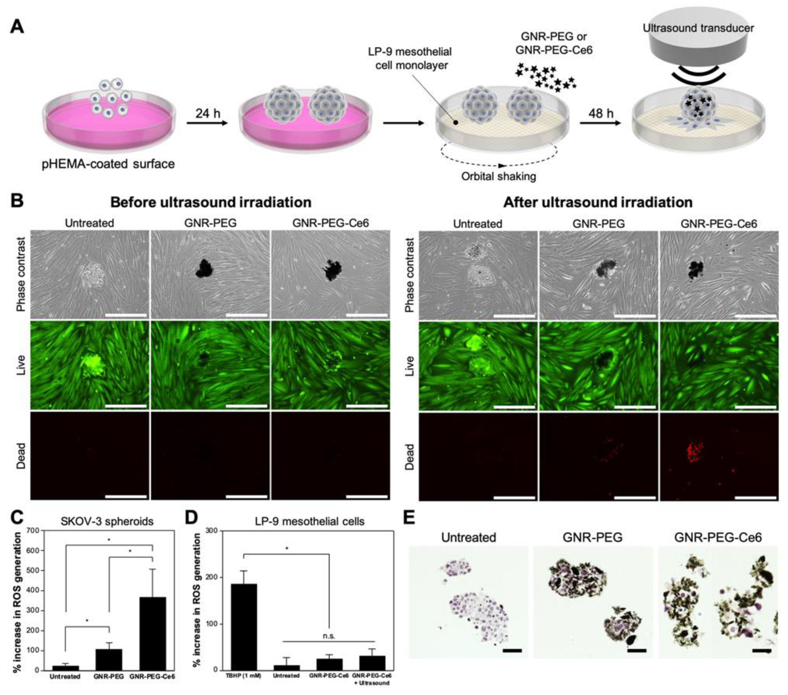 Pharmaceutics 15 00806 g005