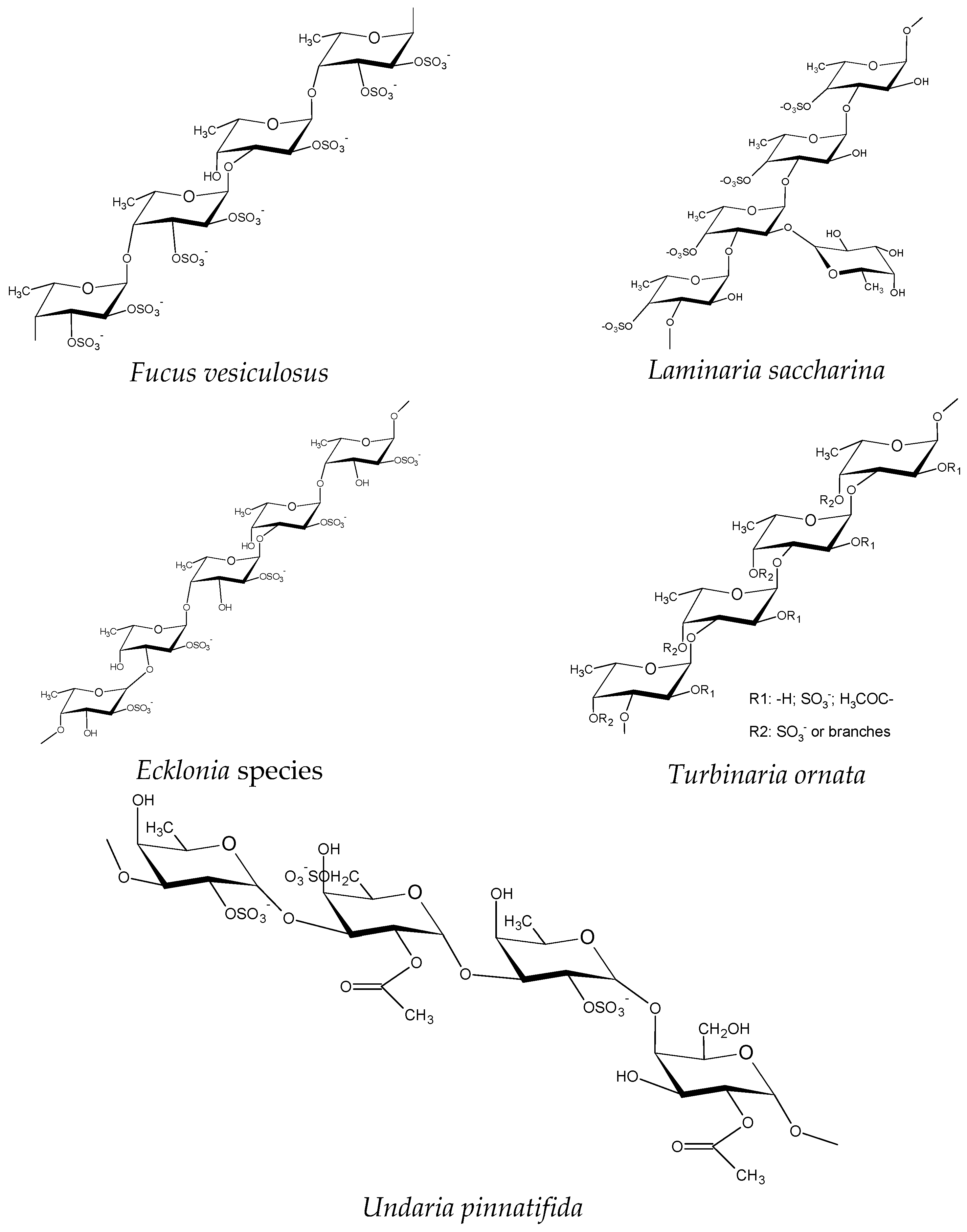 Pharmaceutics 15 00808 g001 Pharmaceutics 15 00808 g001