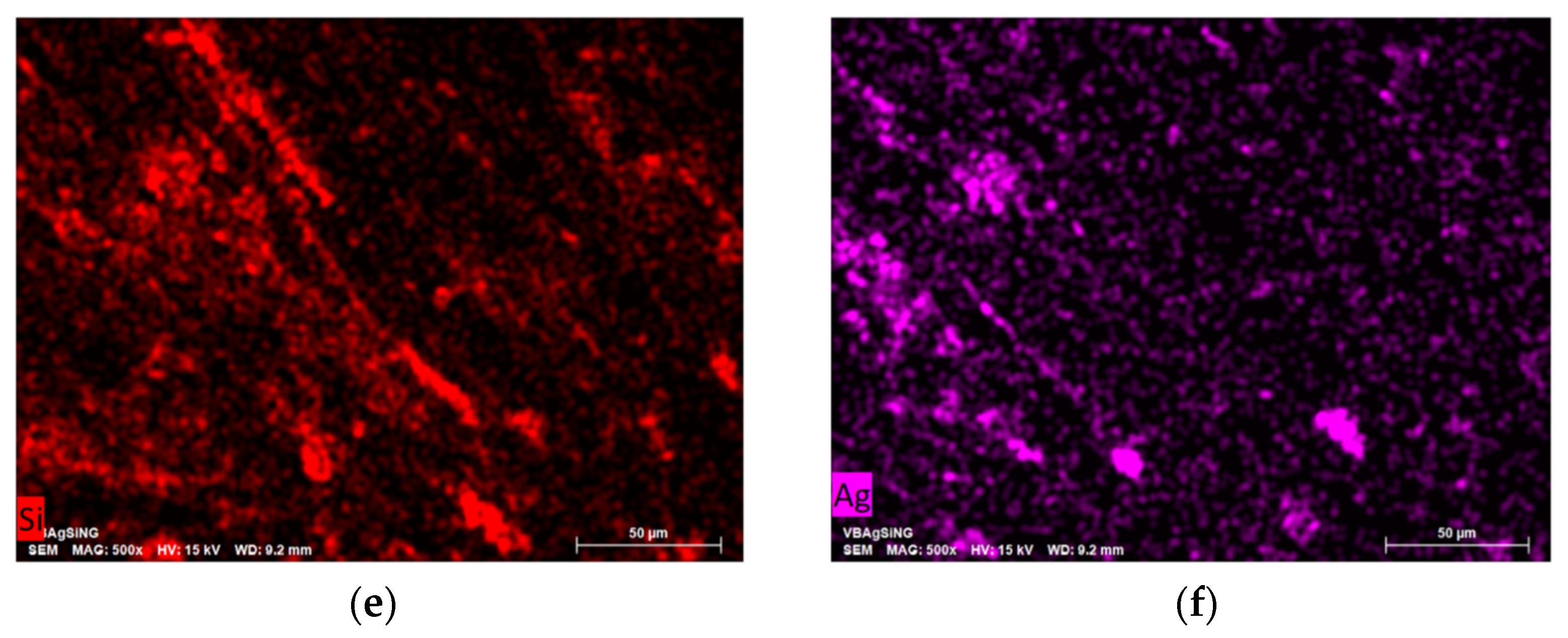 Pharmaceutics 15 00809 g007b Pharmaceutics 15 00809 g007b