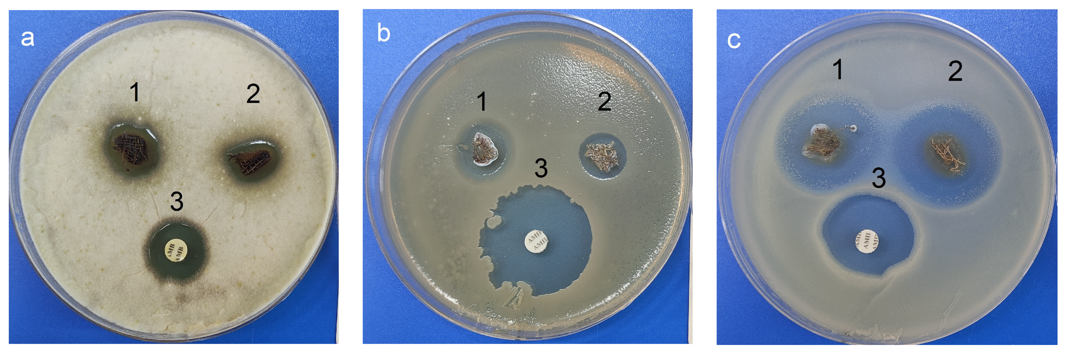 Pharmaceutics 15 00809 g015 Pharmaceutics 15 00809 g015