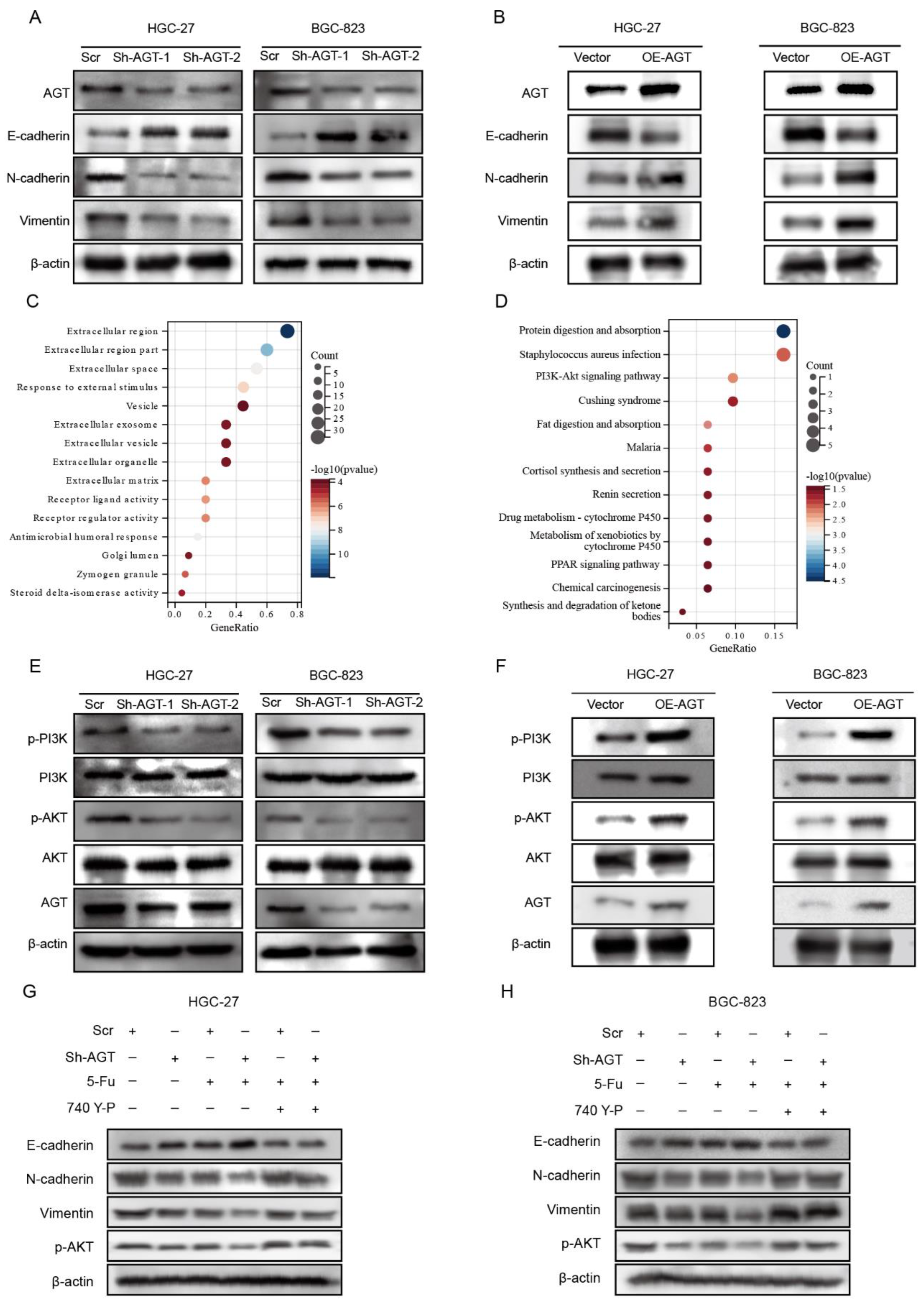 Pharmaceutics 15 00810 g007 Pharmaceutics 15 00810 g007