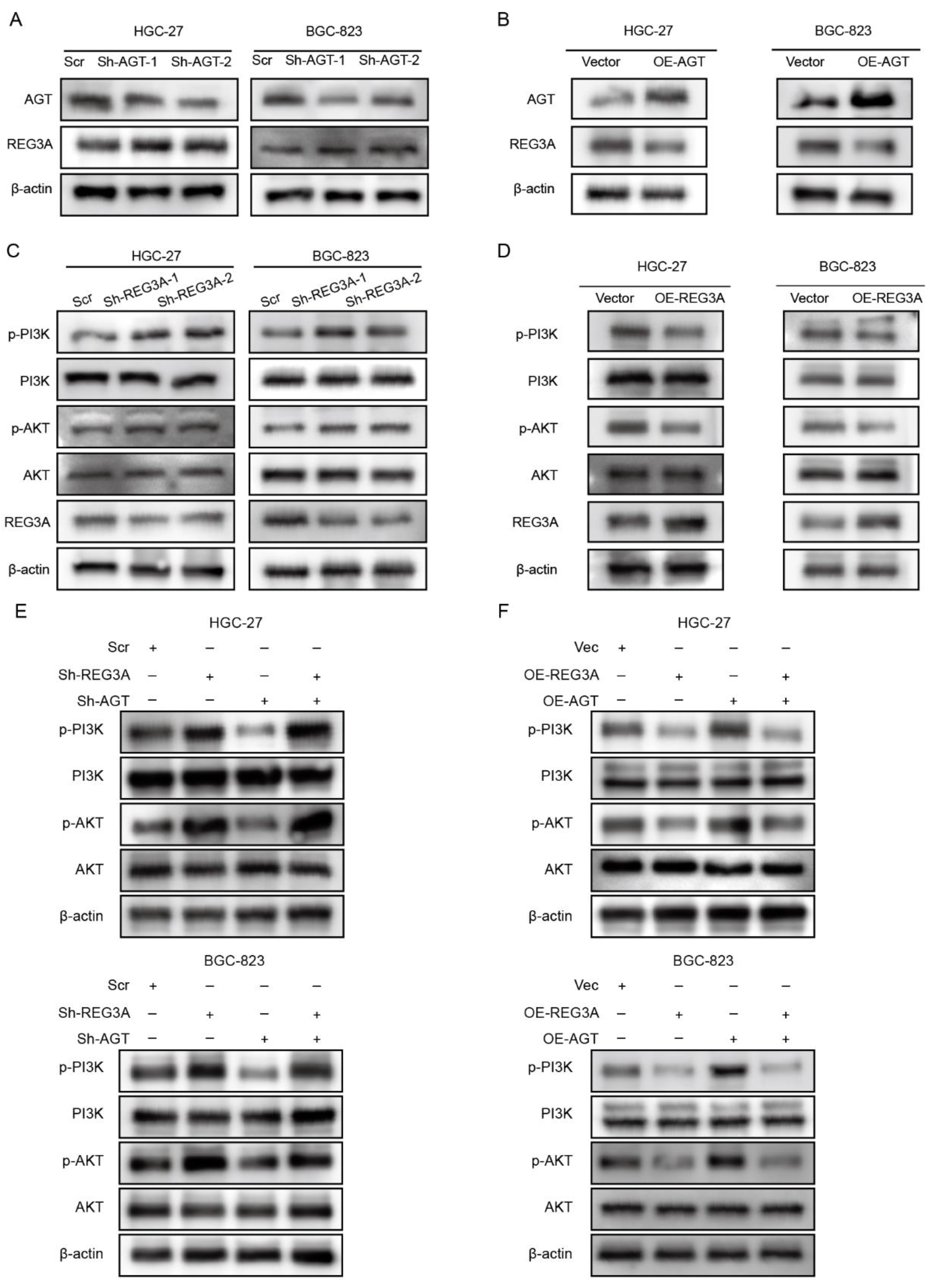 Pharmaceutics 15 00810 g008 Pharmaceutics 15 00810 g008