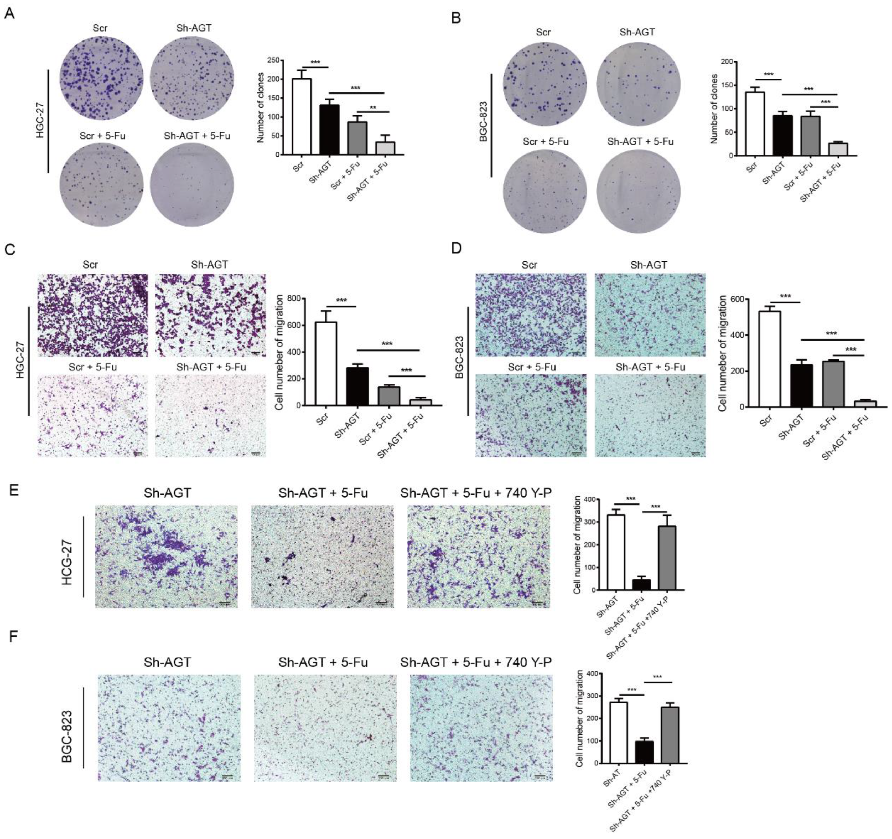 Pharmaceutics 15 00810 g009 Pharmaceutics 15 00810 g009