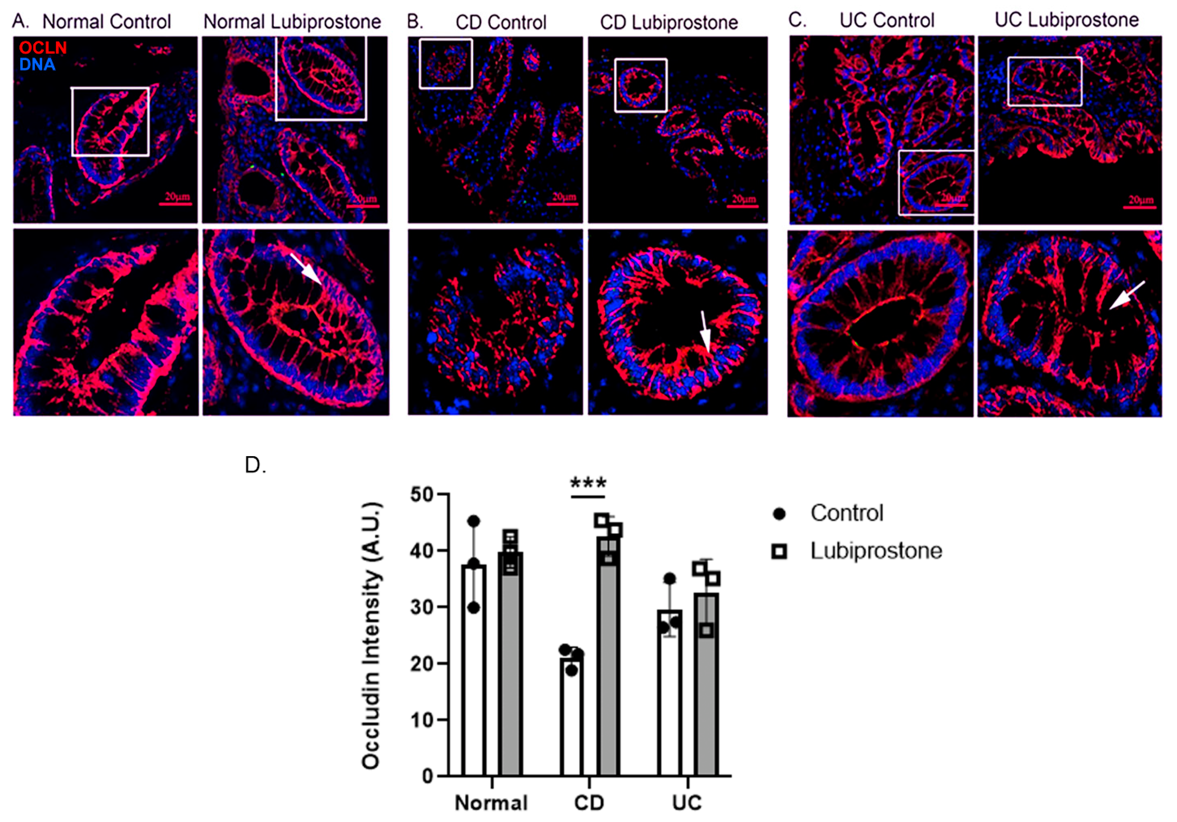 Pharmaceutics 15 00811 g005 Pharmaceutics 15 00811 g005