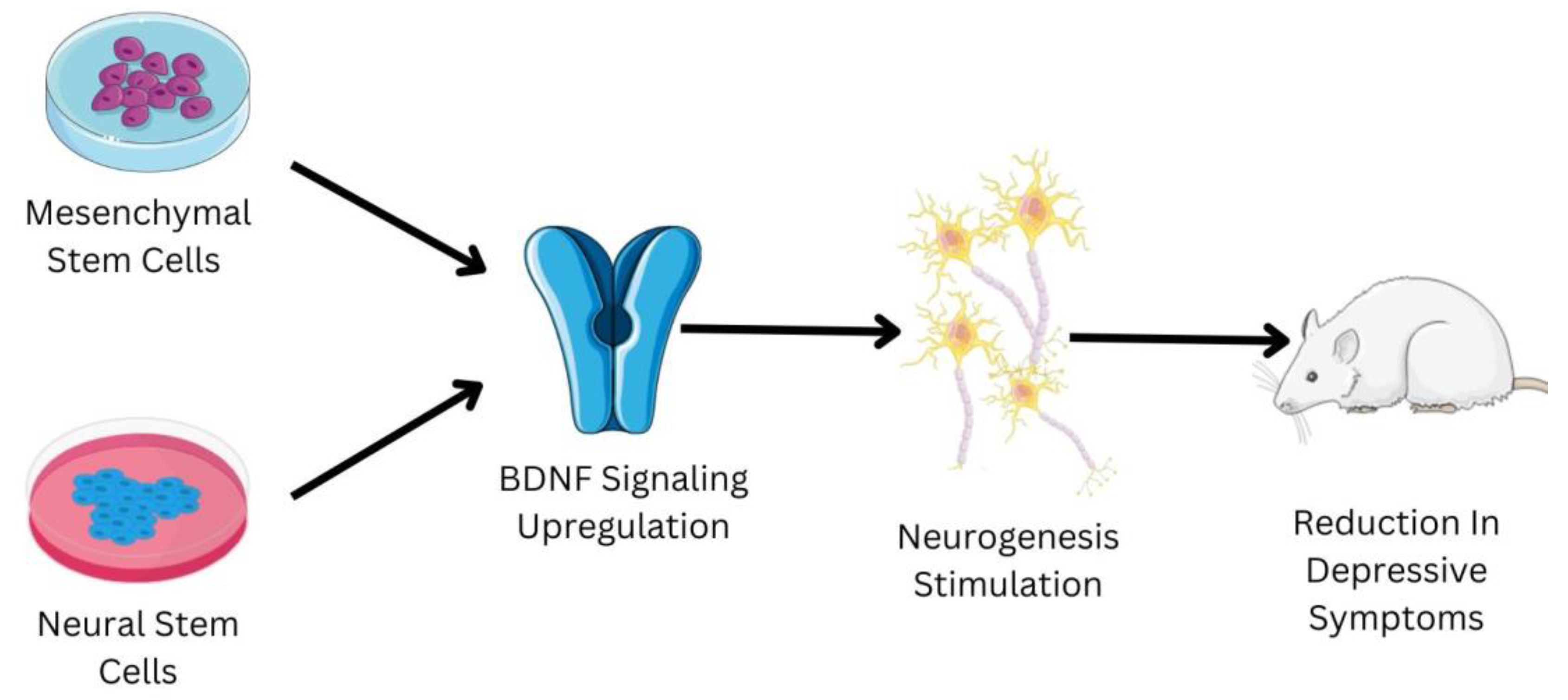 Pharmaceutics 15 00814 g003 Pharmaceutics 15 00814 g003