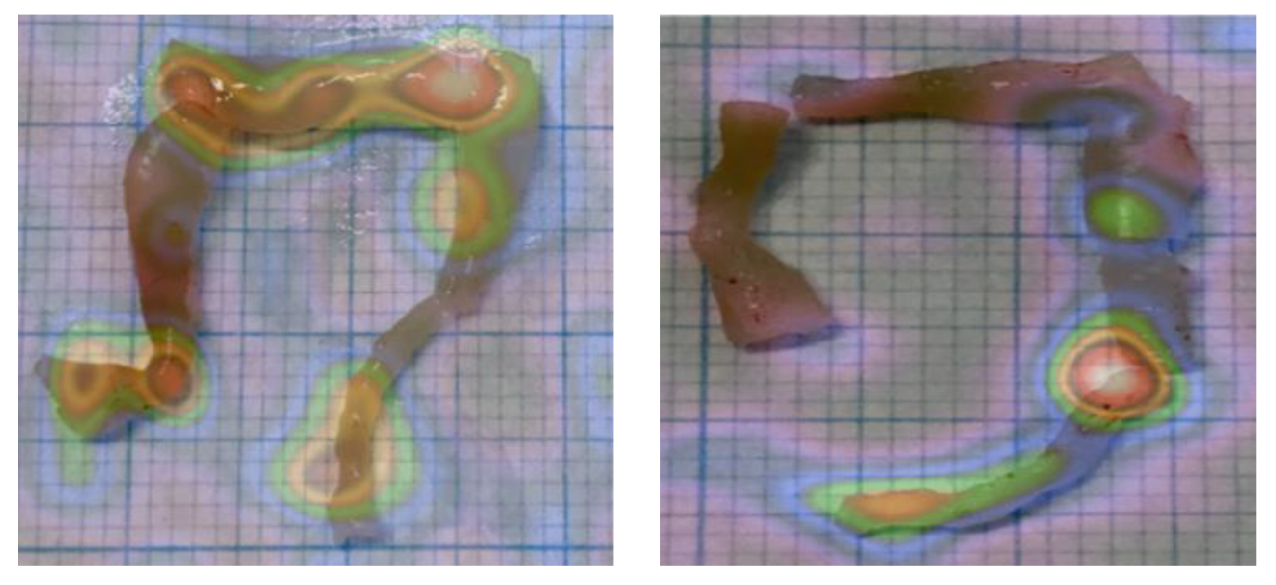 Pharmaceutics 15 00817 g005