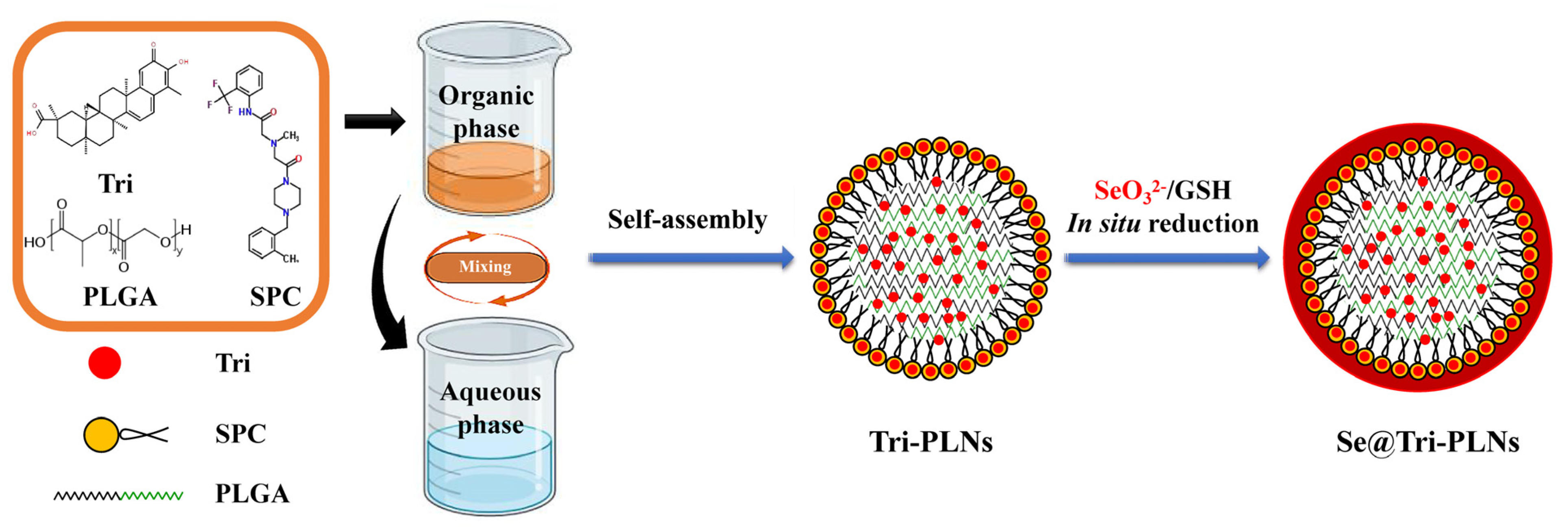 Pharmaceutics 15 00821 g001