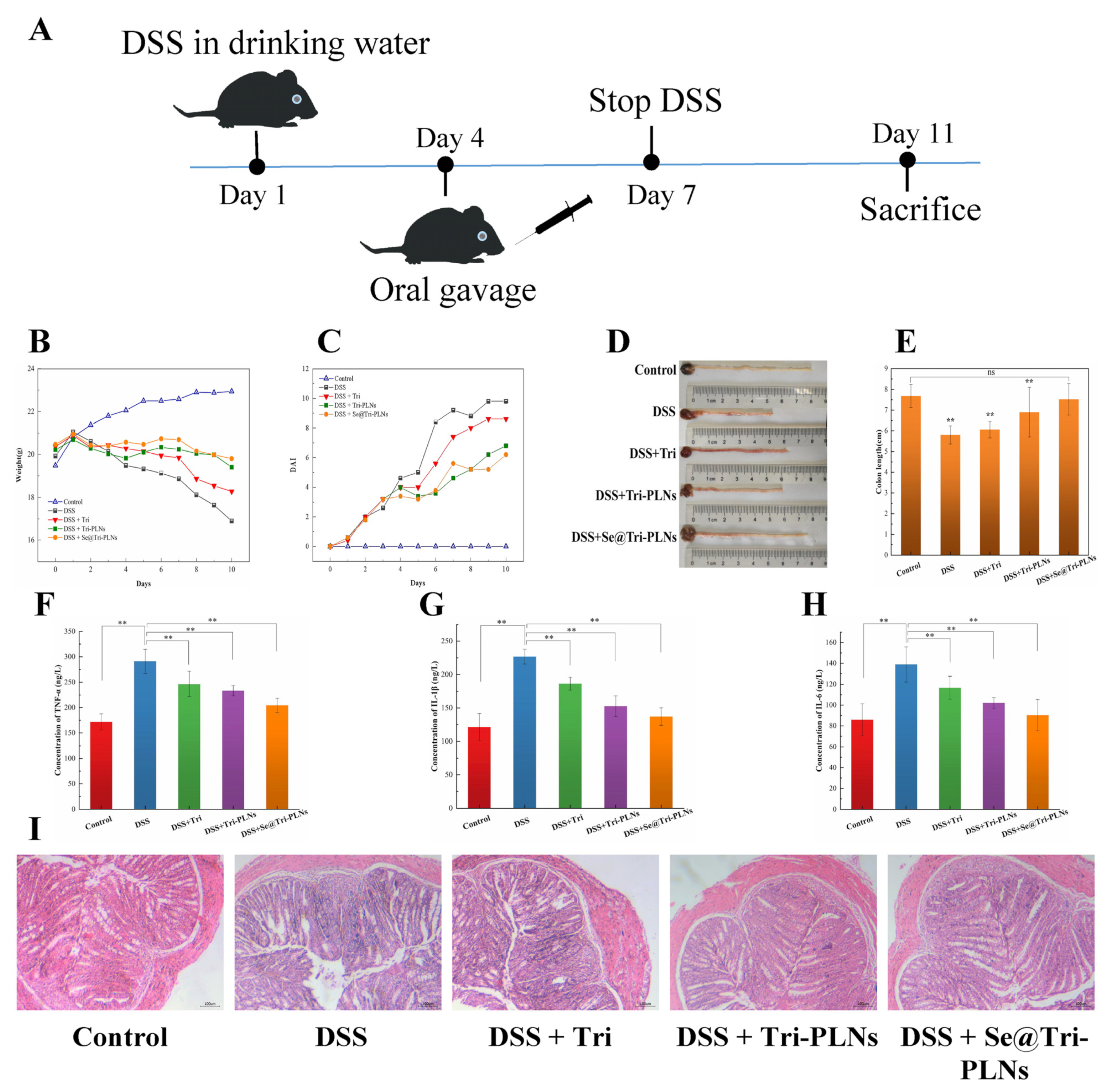 Pharmaceutics 15 00821 g011